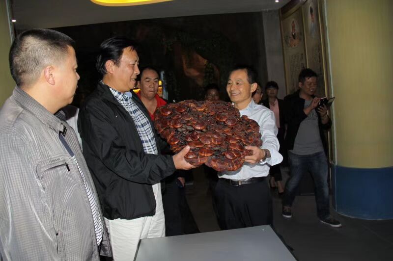 中國靈芝十大品牌|仙客來靈芝|仙客來靈芝破壁孢子粉|仙客來孢子油|仙客來靈芝飲片|仙客來破壁孢子粉|仙客來靈芝中藥飲片|馳名商標|m.yuayua.cn|