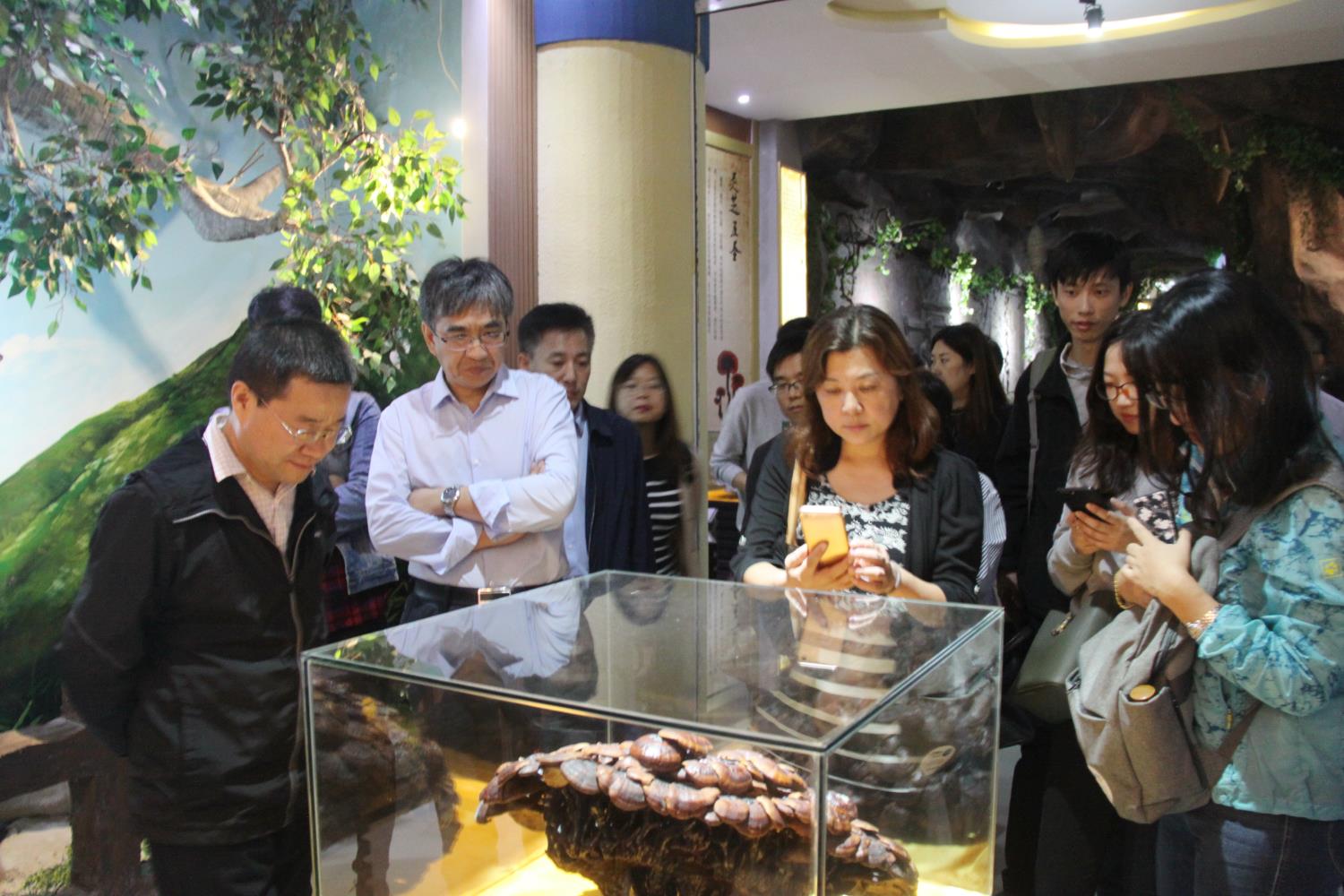 中國靈芝十大品牌|仙客來靈芝|仙客來靈芝破壁孢子粉|仙客來孢子油|仙客來靈芝飲片|仙客來破壁孢子粉|仙客來靈芝中藥飲片|馳名商標(biāo)|m.yuayua.cn|