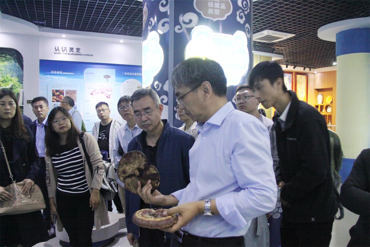 中國靈芝十大品牌|仙客來靈芝|仙客來靈芝破壁孢子粉|仙客來孢子油|仙客來靈芝飲片|仙客來破壁孢子粉|仙客來靈芝中藥飲片|馳名商標(biāo)|m.yuayua.cn|