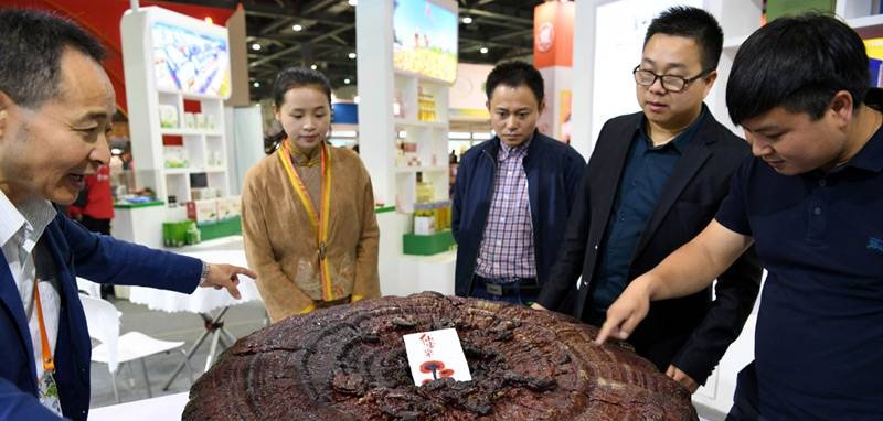 中國靈芝十大品牌|仙客來靈芝|仙客來靈芝破壁孢子粉|仙客來孢子油|仙客來靈芝飲片|仙客來破壁孢子粉|仙客來靈芝中藥飲片|馳名商標(biāo)|m.yuayua.cn|