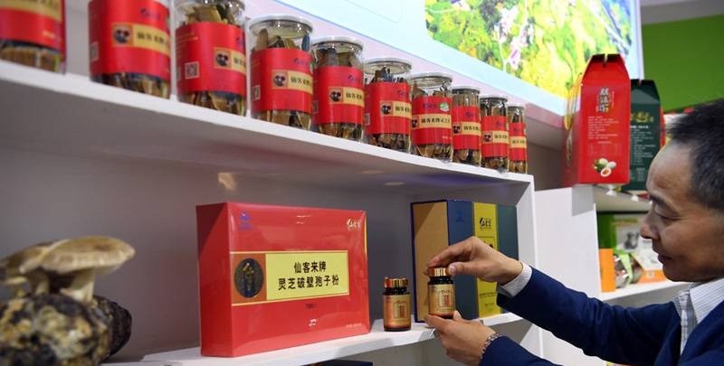 中國靈芝十大品牌|仙客來靈芝|仙客來靈芝破壁孢子粉|仙客來孢子油|仙客來靈芝飲片|仙客來破壁孢子粉|仙客來靈芝中藥飲片|馳名商標(biāo)|m.yuayua.cn|