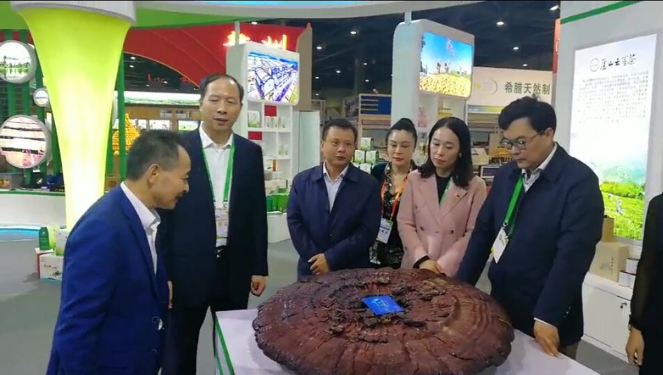 中國靈芝十大品牌|仙客來靈芝|仙客來靈芝破壁孢子粉|仙客來孢子油|仙客來靈芝飲片|仙客來破壁孢子粉|仙客來靈芝中藥飲片|馳名商標(biāo)|m.yuayua.cn|