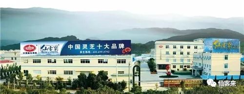 中國靈芝十大品牌|仙客來靈芝|仙客來靈芝破壁孢子粉|仙客來孢子油|仙客來靈芝飲片|仙客來破壁孢子粉|仙客來靈芝中藥飲片|馳名商標(biāo)|m.yuayua.cn|