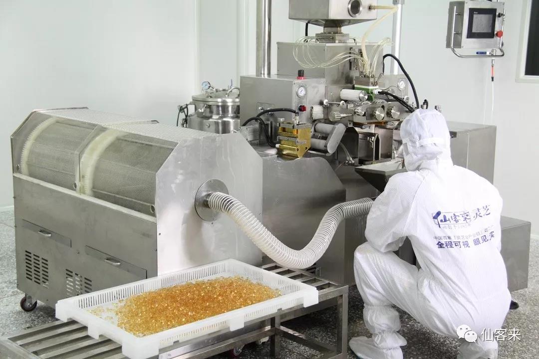 中國(guó)靈芝十大品牌|仙客來(lái)靈芝|仙客來(lái)靈芝破壁孢子粉|仙客來(lái)孢子油|仙客來(lái)靈芝飲片|仙客來(lái)破壁孢子粉|仙客來(lái)靈芝中藥飲片|馳名商標(biāo)|m.yuayua.cn|