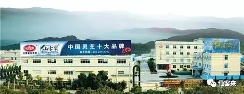 中國(guó)靈芝十大品牌|仙客來(lái)靈芝|仙客來(lái)靈芝破壁孢子粉|仙客來(lái)孢子油|仙客來(lái)靈芝飲片|仙客來(lái)破壁孢子粉|仙客來(lái)靈芝中藥飲片|馳名商標(biāo)|m.yuayua.cn|