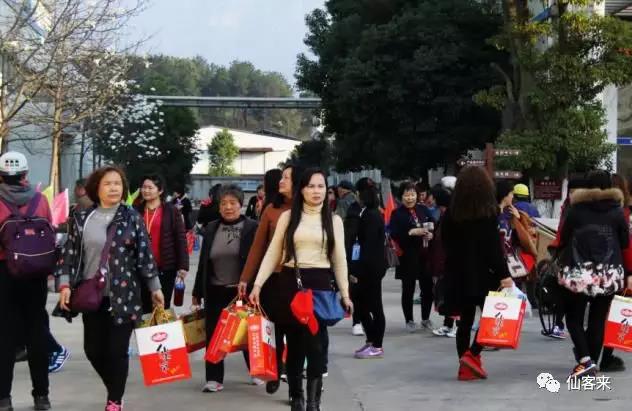 中國(guó)靈芝十大品牌|仙客來(lái)靈芝|仙客來(lái)靈芝破壁孢子粉|仙客來(lái)孢子油|仙客來(lái)靈芝飲片|仙客來(lái)破壁孢子粉|仙客來(lái)靈芝中藥飲片|馳名商標(biāo)|m.yuayua.cn|