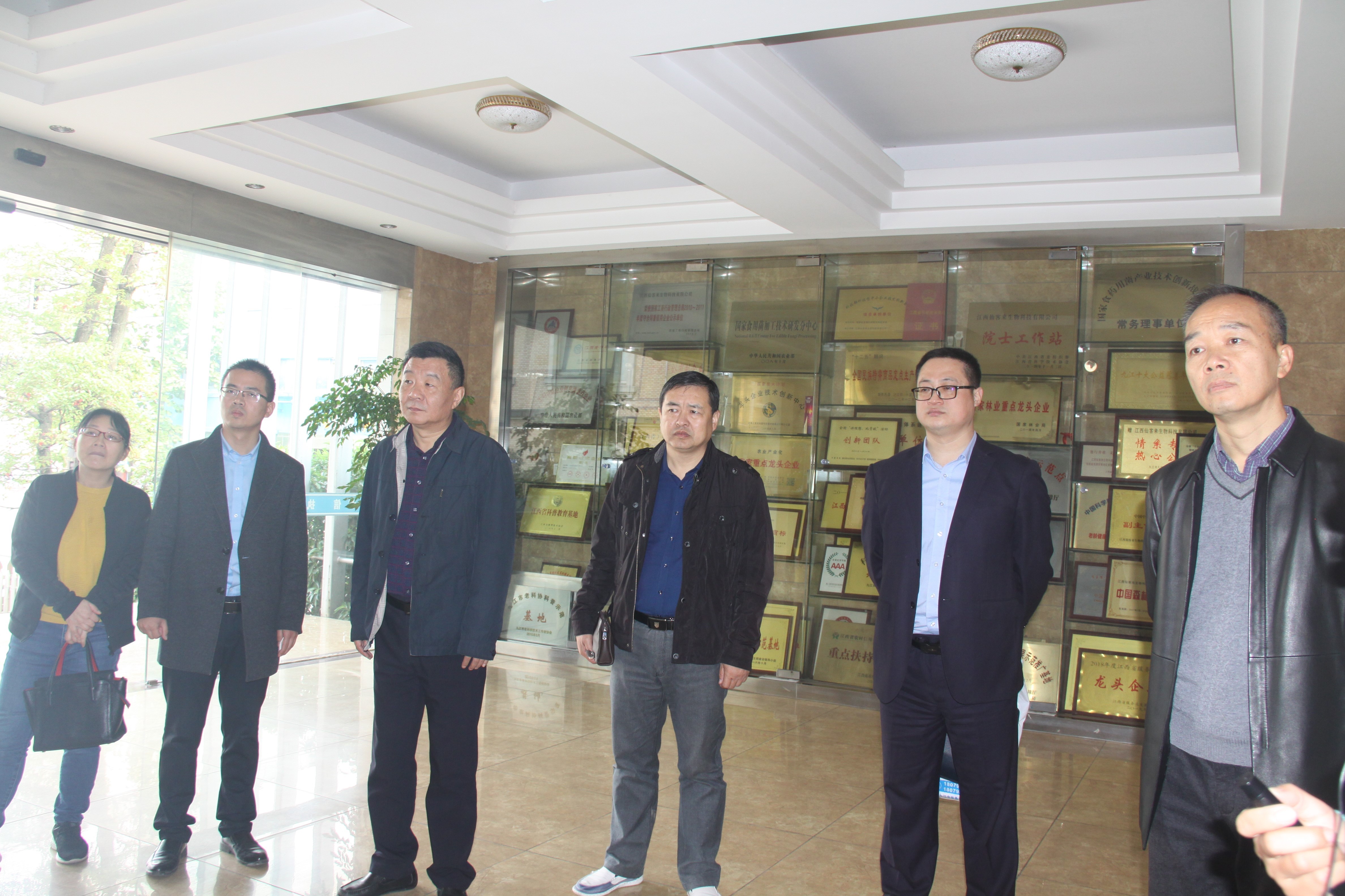 杭州亞運會官方靈芝產(chǎn)品供應商|杭州亞運會官方供應商|中國靈芝十大品牌|仙客來靈芝|仙客來靈芝破壁孢子粉|仙客來孢子油|仙客來靈芝飲片|仙客來破壁孢子粉|靈芝孢子油|孢子粉|靈芝破壁孢子粉|靈芝|中華老字號