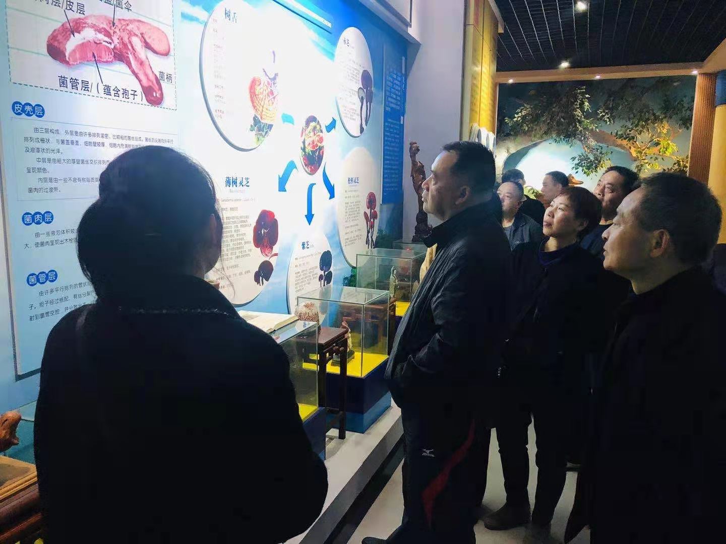 杭州亞運會官方靈芝產(chǎn)品供應(yīng)商|杭州亞運會官方供應(yīng)商|中國靈芝十大品牌|仙客來靈芝|仙客來靈芝破壁孢子粉|仙客來孢子油|仙客來靈芝飲片|仙客來破壁孢子粉|靈芝孢子油|孢子粉|靈芝破壁孢子粉|靈芝|中華老字號 杭州亞運會官方靈芝產(chǎn)品供應(yīng)商|杭州亞運會官方供應(yīng)商|中國靈芝十大品牌|仙客來靈芝|仙客來靈芝破壁孢子粉|仙客來孢子油|仙客來靈芝飲片|仙客來破壁孢子粉|靈芝孢子油|孢子粉|靈芝破壁孢子粉|靈芝|中華老字號