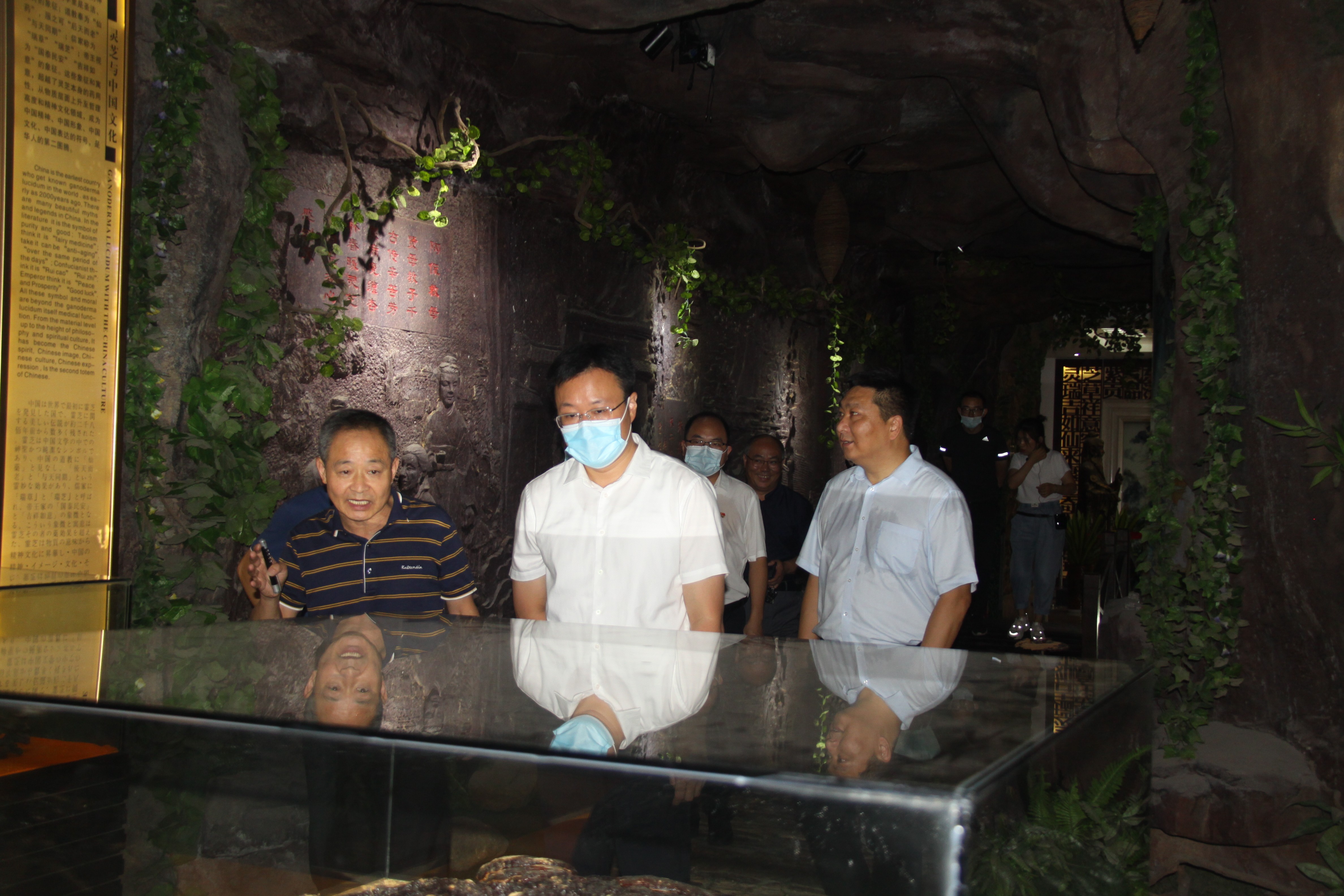 杭州亞運會官方靈芝產品供應商|杭州亞運會官方供應商|中國靈芝十大品牌|仙客來靈芝|仙客來靈芝破壁孢子粉|仙客來孢子油|仙客來靈芝飲片|仙客來破壁孢子粉|靈芝孢子油|孢子粉|靈芝破壁孢子粉|靈芝|中華老字號 杭州亞運會官方靈芝產品供應商|杭州亞運會官方供應商|中國靈芝十大品牌|仙客來靈芝|仙客來靈芝破壁孢子粉|仙客來孢子油|仙客來靈芝飲片|仙客來破壁孢子粉|靈芝孢子油|孢子粉|靈芝破壁孢子粉|靈芝|中華老字號