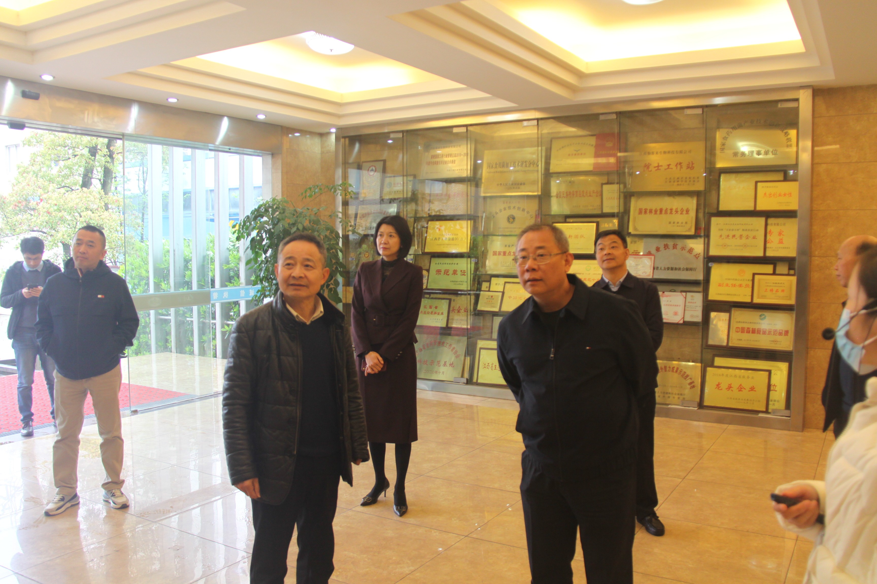 杭州亞運(yùn)會(huì)官方靈芝產(chǎn)品供應(yīng)商|杭州亞運(yùn)會(huì)官方供應(yīng)商|中國(guó)靈芝十大品牌|仙客來靈芝|仙客來靈芝破壁孢子粉|仙客來孢子油|仙客來靈芝飲片|仙客來破壁孢子粉|靈芝孢子油|孢子粉|靈芝破壁孢子粉|靈芝|中華老字號(hào) 杭州亞運(yùn)會(huì)官方靈芝產(chǎn)品供應(yīng)商|杭州亞運(yùn)會(huì)官方供應(yīng)商|中國(guó)靈芝十大品牌|仙客來靈芝|仙客來靈芝破壁孢子粉|仙客來孢子油|仙客來靈芝飲片|仙客來破壁孢子粉|靈芝孢子油|孢子粉|靈芝破壁孢子粉|靈芝|中華老字號(hào)