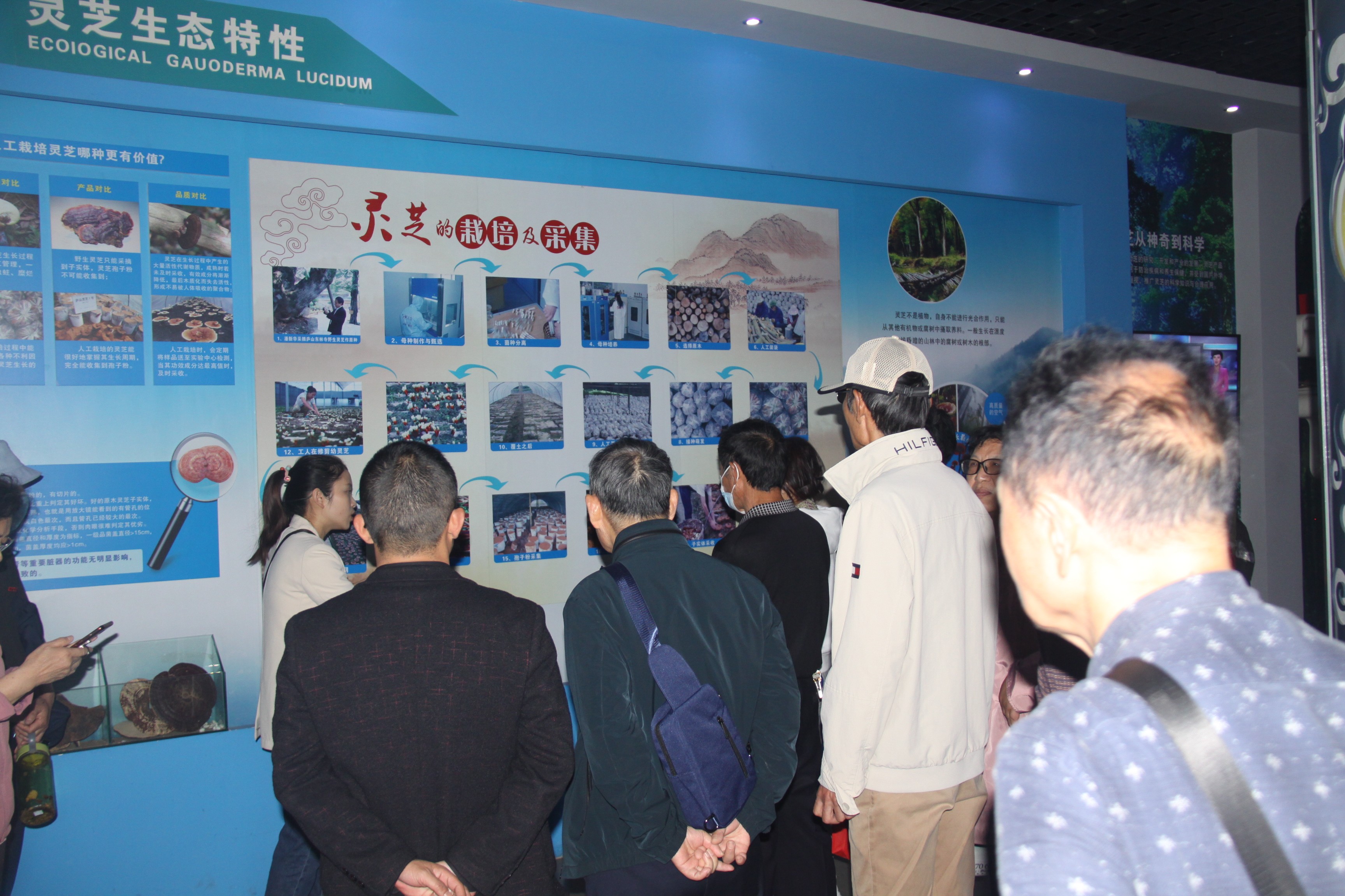 杭州亞運(yùn)會(huì)官方靈芝產(chǎn)品供應(yīng)商|杭州亞運(yùn)會(huì)官方供應(yīng)商|中國(guó)靈芝十大品牌|仙客來(lái)靈芝|仙客來(lái)靈芝破壁孢子粉|仙客來(lái)孢子油|仙客來(lái)靈芝飲片|仙客來(lái)破壁孢子粉|靈芝孢子油|孢子粉|靈芝破壁孢子粉|靈芝|中華老字號(hào) 杭州亞運(yùn)會(huì)官方靈芝產(chǎn)品供應(yīng)商|杭州亞運(yùn)會(huì)官方供應(yīng)商|中國(guó)靈芝十大品牌|仙客來(lái)靈芝|仙客來(lái)靈芝破壁孢子粉|仙客來(lái)孢子油|仙客來(lái)靈芝飲片|仙客來(lái)破壁孢子粉|靈芝孢子油|孢子粉|靈芝破壁孢子粉|靈芝|中華老字號(hào)