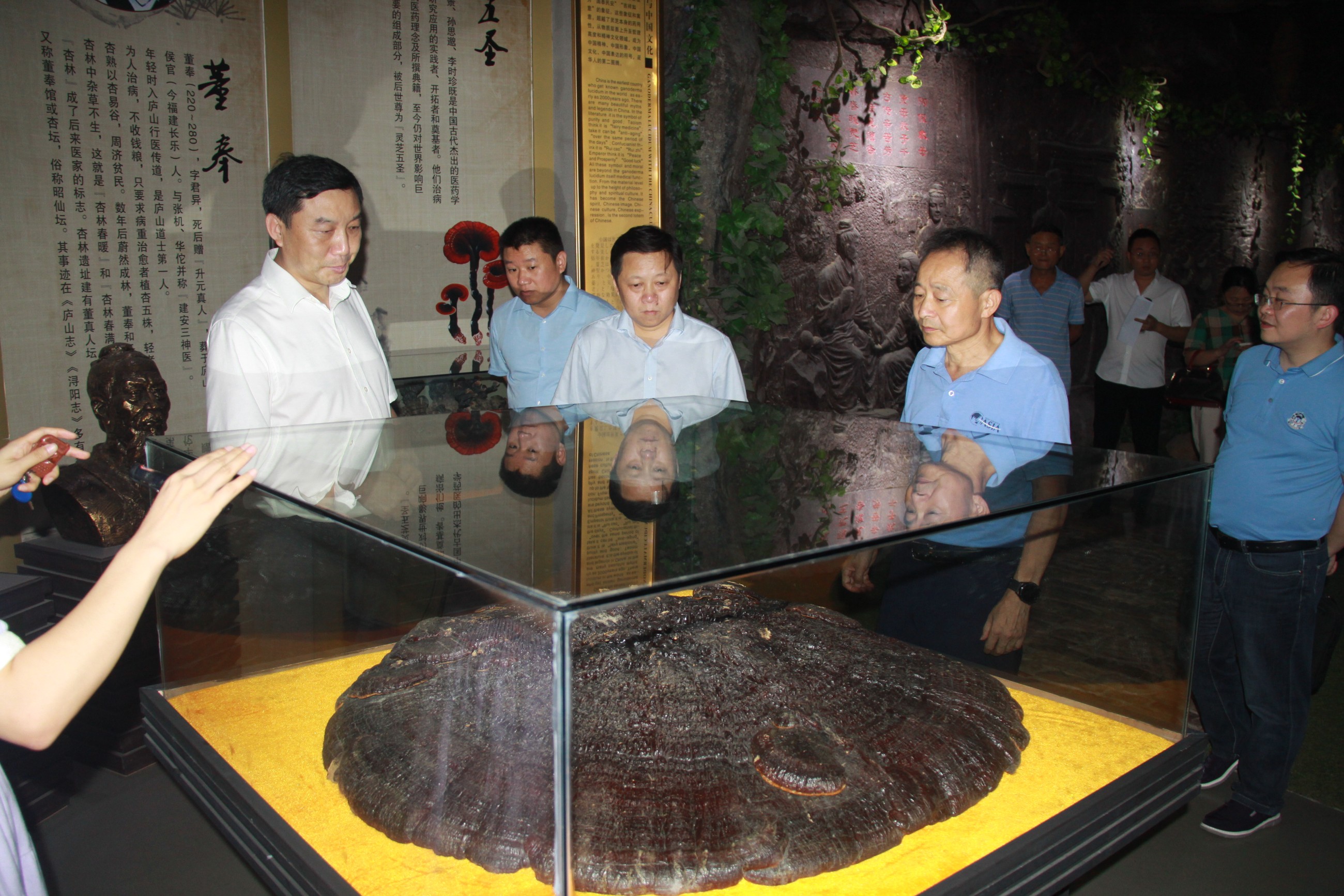 杭州亞運(yùn)會(huì)官方靈芝產(chǎn)品供應(yīng)商|杭州亞運(yùn)會(huì)官方供應(yīng)商|中國(guó)靈芝十大品牌|仙客來靈芝|仙客來靈芝破壁孢子粉|仙客來孢子油|仙客來靈芝飲片|仙客來破壁孢子粉|靈芝孢子油|孢子粉|靈芝破壁孢子粉|靈芝|中華老字號(hào) 杭州亞運(yùn)會(huì)官方靈芝產(chǎn)品供應(yīng)商|杭州亞運(yùn)會(huì)官方供應(yīng)商|中國(guó)靈芝十大品牌|仙客來靈芝|仙客來靈芝破壁孢子粉|仙客來孢子油|仙客來靈芝飲片|仙客來破壁孢子粉|靈芝孢子油|孢子粉|靈芝破壁孢子粉|靈芝|中華老字號(hào)