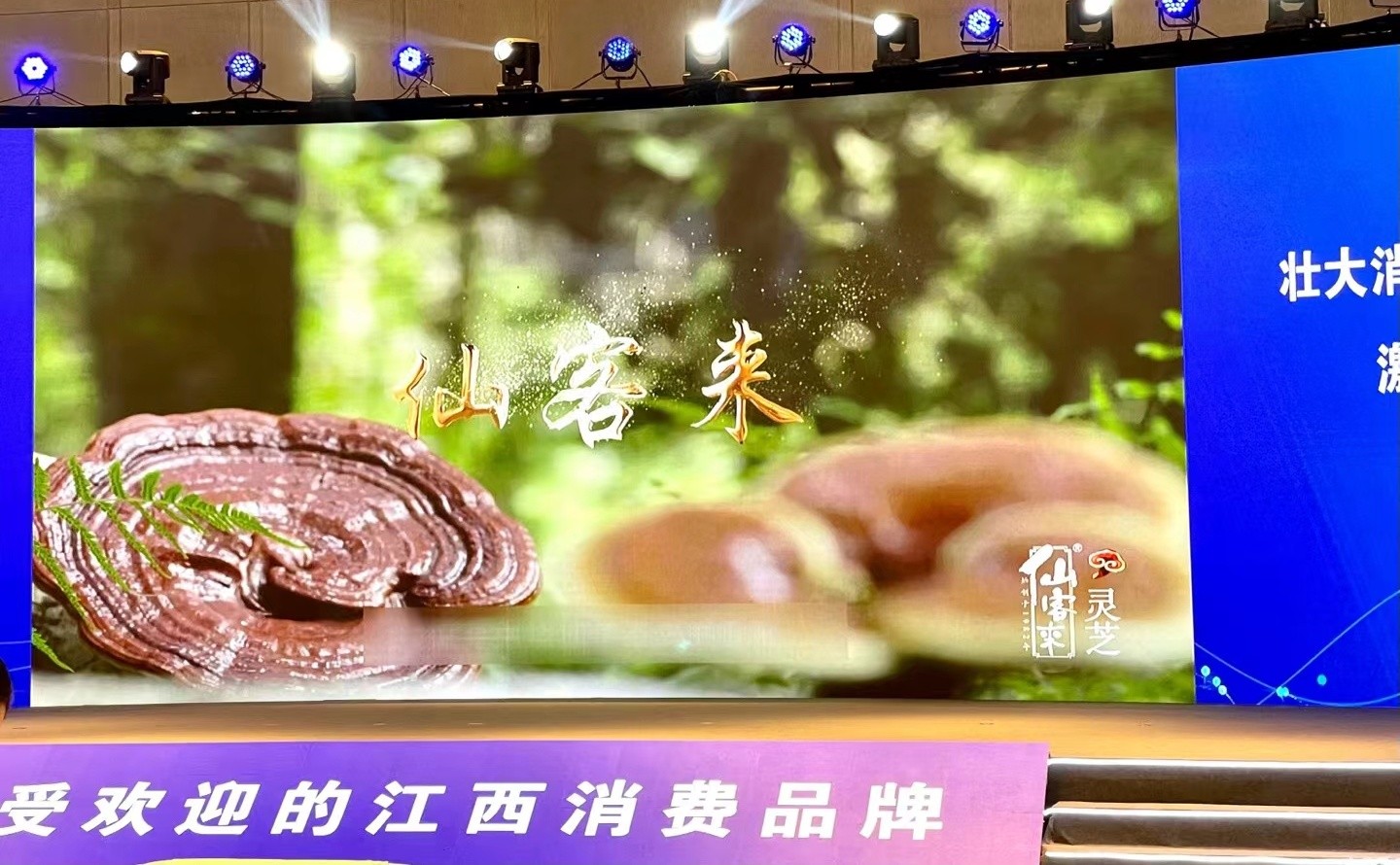 杭州亞運會官方靈芝產(chǎn)品供應(yīng)商|杭州亞運會官方供應(yīng)商|中國靈芝十大品牌|仙客來靈芝|仙客來靈芝破壁孢子粉|仙客來孢子油|仙客來靈芝飲片|仙客來破壁孢子粉|靈芝孢子油|孢子粉|靈芝破壁孢子粉|靈芝|中華老字號 杭州亞運會官方靈芝產(chǎn)品供應(yīng)商|杭州亞運會官方供應(yīng)商|中國靈芝十大品牌|仙客來靈芝|仙客來靈芝破壁孢子粉|仙客來孢子油|仙客來靈芝飲片|仙客來破壁孢子粉|靈芝孢子油|孢子粉|靈芝破壁孢子粉|靈芝|中華老字號