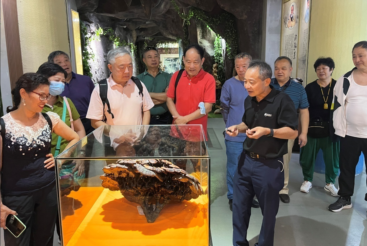 杭州亞運(yùn)會(huì)官方靈芝產(chǎn)品供應(yīng)商|杭州亞運(yùn)會(huì)官方供應(yīng)商|中國(guó)靈芝十大品牌|仙客來(lái)靈芝|仙客來(lái)靈芝破壁孢子粉|仙客來(lái)孢子油|仙客來(lái)靈芝飲片|仙客來(lái)破壁孢子粉|靈芝孢子油|孢子粉|靈芝破壁孢子粉|靈芝|中華老字號(hào)