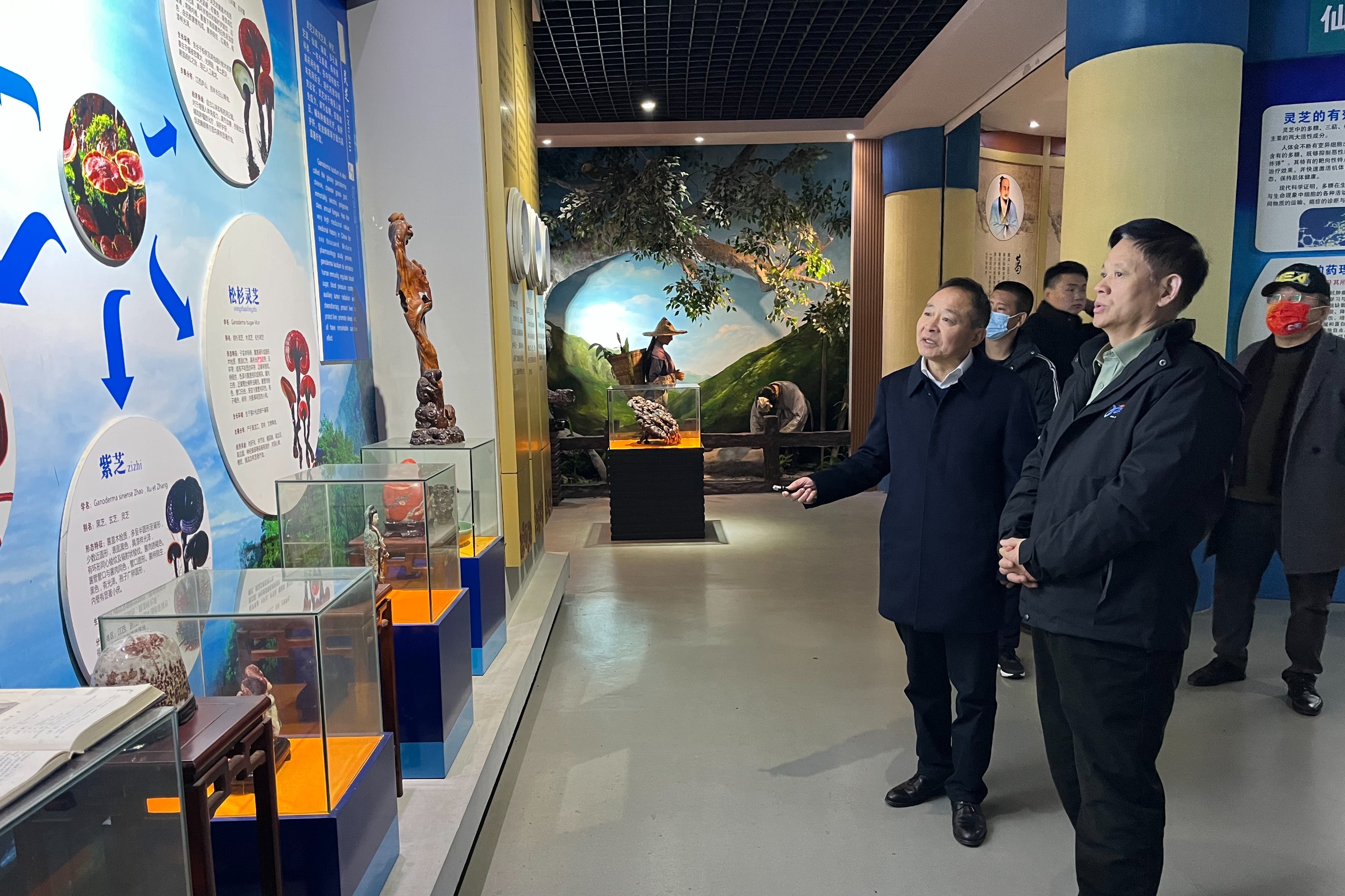 杭州亞運(yùn)會(huì)官方靈芝產(chǎn)品供應(yīng)商|杭州亞運(yùn)會(huì)官方供應(yīng)商|中國(guó)靈芝十大品牌|仙客來靈芝|仙客來靈芝破壁孢子粉|仙客來孢子油|仙客來靈芝飲片|仙客來破壁孢子粉|靈芝孢子油|孢子粉|靈芝破壁孢子粉|靈芝|中華老字號(hào) 杭州亞運(yùn)會(huì)官方靈芝產(chǎn)品供應(yīng)商|杭州亞運(yùn)會(huì)官方供應(yīng)商|中國(guó)靈芝十大品牌|仙客來靈芝|仙客來靈芝破壁孢子粉|仙客來孢子油|仙客來靈芝飲片|仙客來破壁孢子粉|靈芝孢子油|孢子粉|靈芝破壁孢子粉|靈芝|中華老字號(hào)