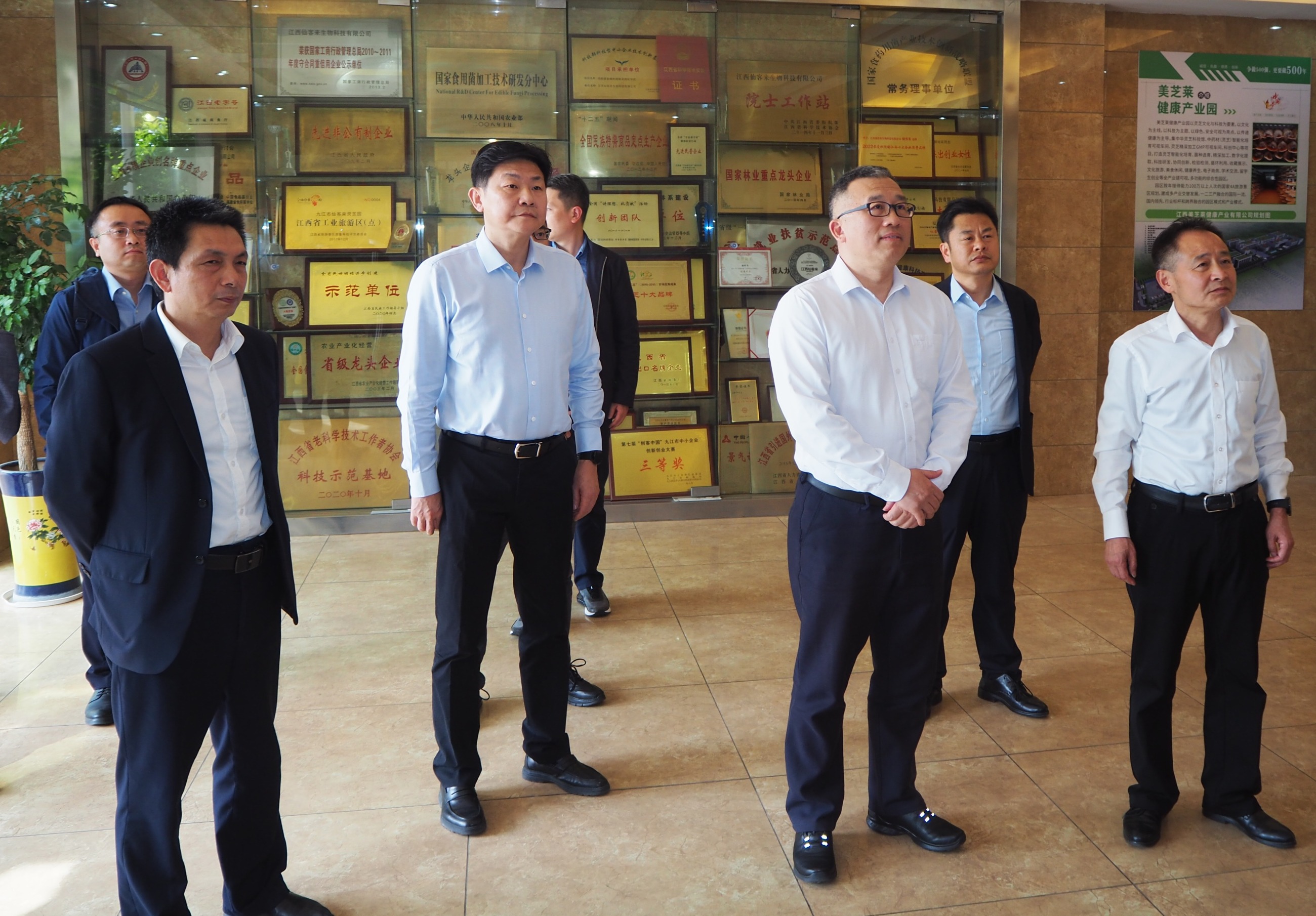 杭州亞運會官方靈芝產(chǎn)品供應(yīng)商|杭州亞運會官方供應(yīng)商|中國靈芝十大品牌|仙客來靈芝|仙客來靈芝破壁孢子粉|仙客來孢子油|仙客來靈芝飲片|仙客來破壁孢子粉|靈芝孢子油|孢子粉|靈芝破壁孢子粉|靈芝|中華老字號 杭州亞運會官方靈芝產(chǎn)品供應(yīng)商|杭州亞運會官方供應(yīng)商|中國靈芝十大品牌|仙客來靈芝|仙客來靈芝破壁孢子粉|仙客來孢子油|仙客來靈芝飲片|仙客來破壁孢子粉|靈芝孢子油|孢子粉|靈芝破壁孢子粉|靈芝|中華老字號