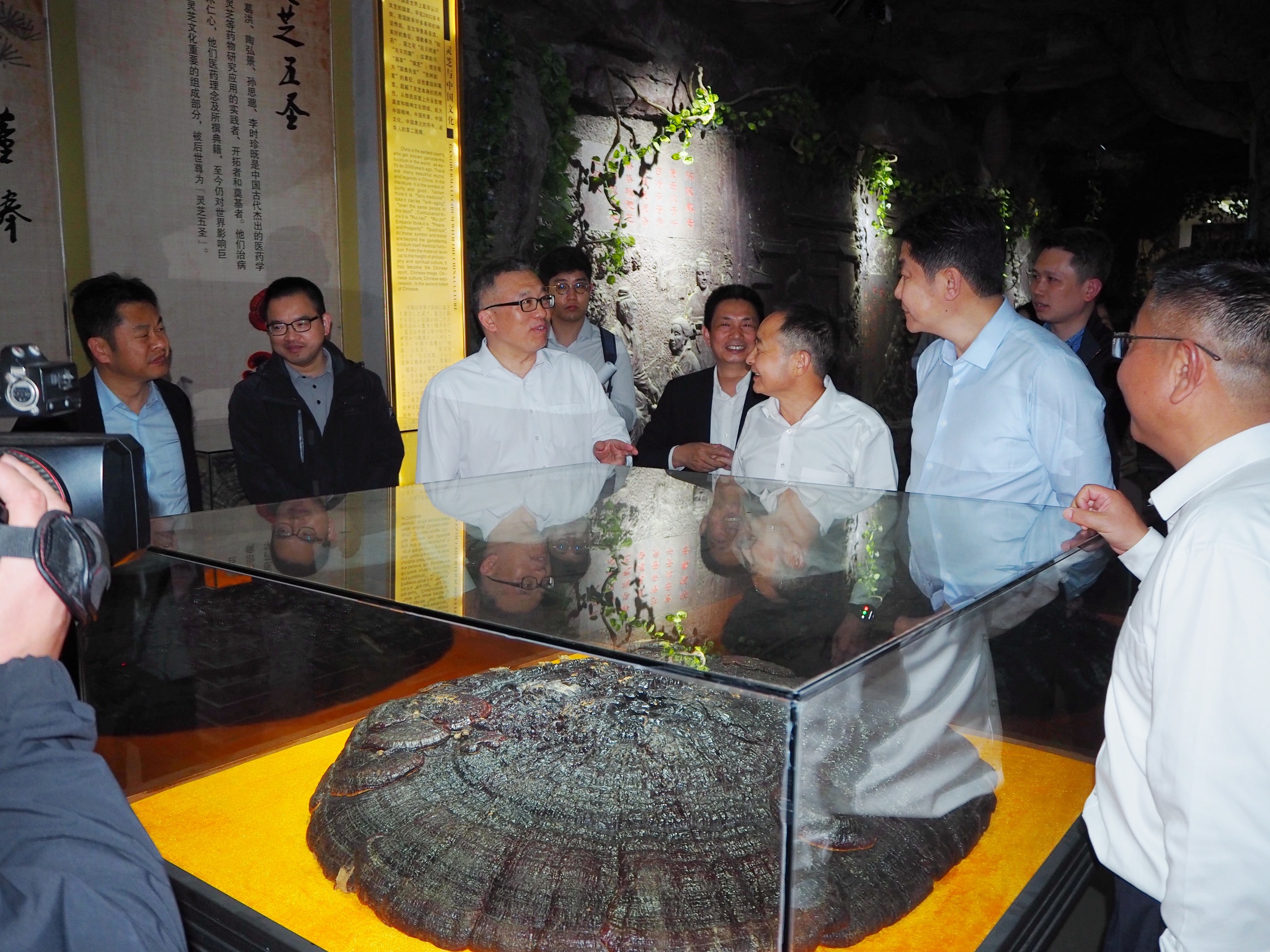 杭州亞運會官方靈芝產(chǎn)品供應(yīng)商|杭州亞運會官方供應(yīng)商|中國靈芝十大品牌|仙客來靈芝|仙客來靈芝破壁孢子粉|仙客來孢子油|仙客來靈芝飲片|仙客來破壁孢子粉|靈芝孢子油|孢子粉|靈芝破壁孢子粉|靈芝|中華老字號 杭州亞運會官方靈芝產(chǎn)品供應(yīng)商|杭州亞運會官方供應(yīng)商|中國靈芝十大品牌|仙客來靈芝|仙客來靈芝破壁孢子粉|仙客來孢子油|仙客來靈芝飲片|仙客來破壁孢子粉|靈芝孢子油|孢子粉|靈芝破壁孢子粉|靈芝|中華老字號