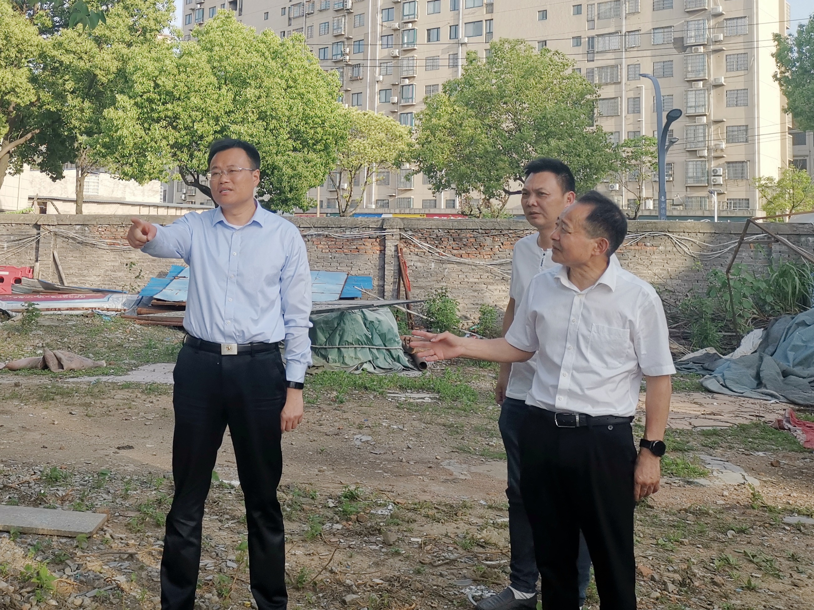 杭州亞運(yùn)會官方靈芝產(chǎn)品供應(yīng)商|杭州亞運(yùn)會官方供應(yīng)商|中國靈芝十大品牌|仙客來靈芝|仙客來靈芝破壁孢子粉|仙客來孢子油|仙客來靈芝飲片|仙客來破壁孢子粉|靈芝孢子油|孢子粉|靈芝破壁孢子粉|靈芝|中華老字號 杭州亞運(yùn)會官方靈芝產(chǎn)品供應(yīng)商|杭州亞運(yùn)會官方供應(yīng)商|中國靈芝十大品牌|仙客來靈芝|仙客來靈芝破壁孢子粉|仙客來孢子油|仙客來靈芝飲片|仙客來破壁孢子粉|靈芝孢子油|孢子粉|靈芝破壁孢子粉|靈芝|中華老字號