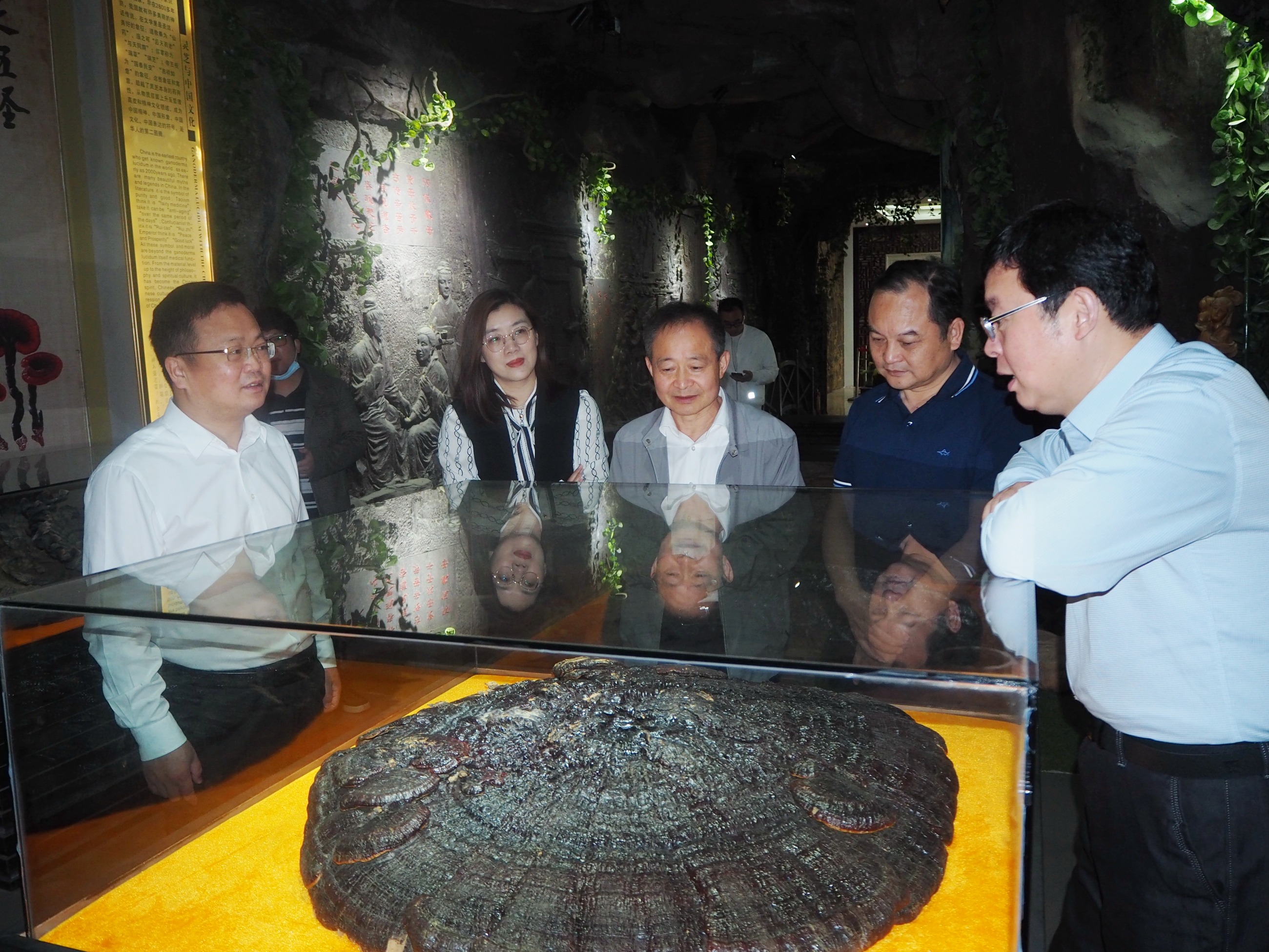 杭州亞運會官方靈芝產(chǎn)品供應(yīng)商|杭州亞運會官方供應(yīng)商|中國靈芝十大品牌|仙客來靈芝|仙客來靈芝破壁孢子粉|仙客來孢子油|仙客來靈芝飲片|仙客來破壁孢子粉|靈芝孢子油|孢子粉|靈芝破壁孢子粉|靈芝|中華老字號 杭州亞運會官方靈芝產(chǎn)品供應(yīng)商|杭州亞運會官方供應(yīng)商|中國靈芝十大品牌|仙客來靈芝|仙客來靈芝破壁孢子粉|仙客來孢子油|仙客來靈芝飲片|仙客來破壁孢子粉|靈芝孢子油|孢子粉|靈芝破壁孢子粉|靈芝|中華老字號