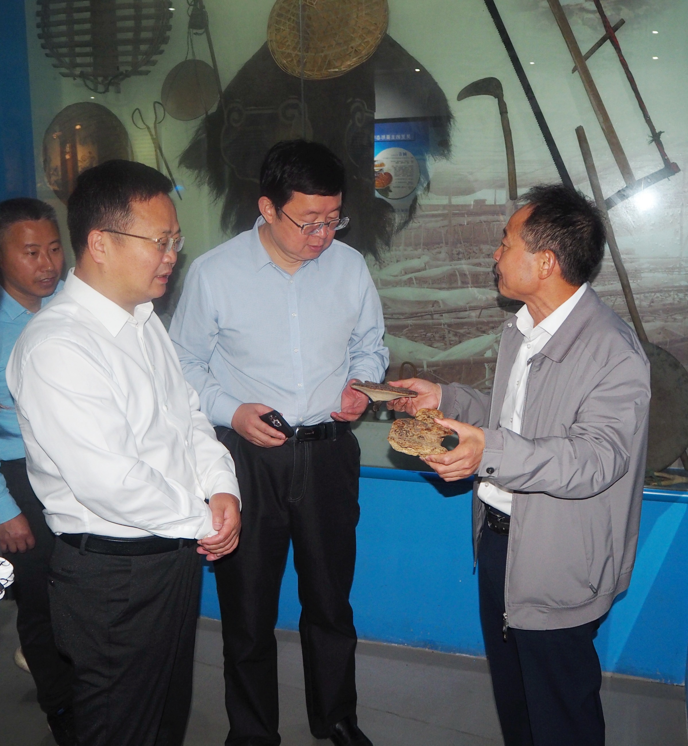 杭州亞運會官方靈芝產(chǎn)品供應(yīng)商|杭州亞運會官方供應(yīng)商|中國靈芝十大品牌|仙客來靈芝|仙客來靈芝破壁孢子粉|仙客來孢子油|仙客來靈芝飲片|仙客來破壁孢子粉|靈芝孢子油|孢子粉|靈芝破壁孢子粉|靈芝|中華老字號 杭州亞運會官方靈芝產(chǎn)品供應(yīng)商|杭州亞運會官方供應(yīng)商|中國靈芝十大品牌|仙客來靈芝|仙客來靈芝破壁孢子粉|仙客來孢子油|仙客來靈芝飲片|仙客來破壁孢子粉|靈芝孢子油|孢子粉|靈芝破壁孢子粉|靈芝|中華老字號