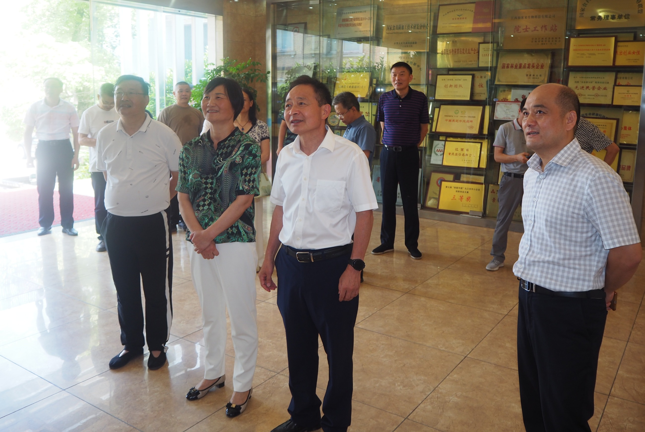 杭州亞運(yùn)會(huì)官方靈芝產(chǎn)品供應(yīng)商|杭州亞運(yùn)會(huì)官方供應(yīng)商|中國(guó)靈芝十大品牌|仙客來靈芝|仙客來靈芝破壁孢子粉|仙客來孢子油|仙客來靈芝飲片|仙客來破壁孢子粉|靈芝孢子油|孢子粉|靈芝破壁孢子粉|靈芝|中華老字號(hào) 杭州亞運(yùn)會(huì)官方靈芝產(chǎn)品供應(yīng)商|杭州亞運(yùn)會(huì)官方供應(yīng)商|中國(guó)靈芝十大品牌|仙客來靈芝|仙客來靈芝破壁孢子粉|仙客來孢子油|仙客來靈芝飲片|仙客來破壁孢子粉|靈芝孢子油|孢子粉|靈芝破壁孢子粉|靈芝|中華老字號(hào)