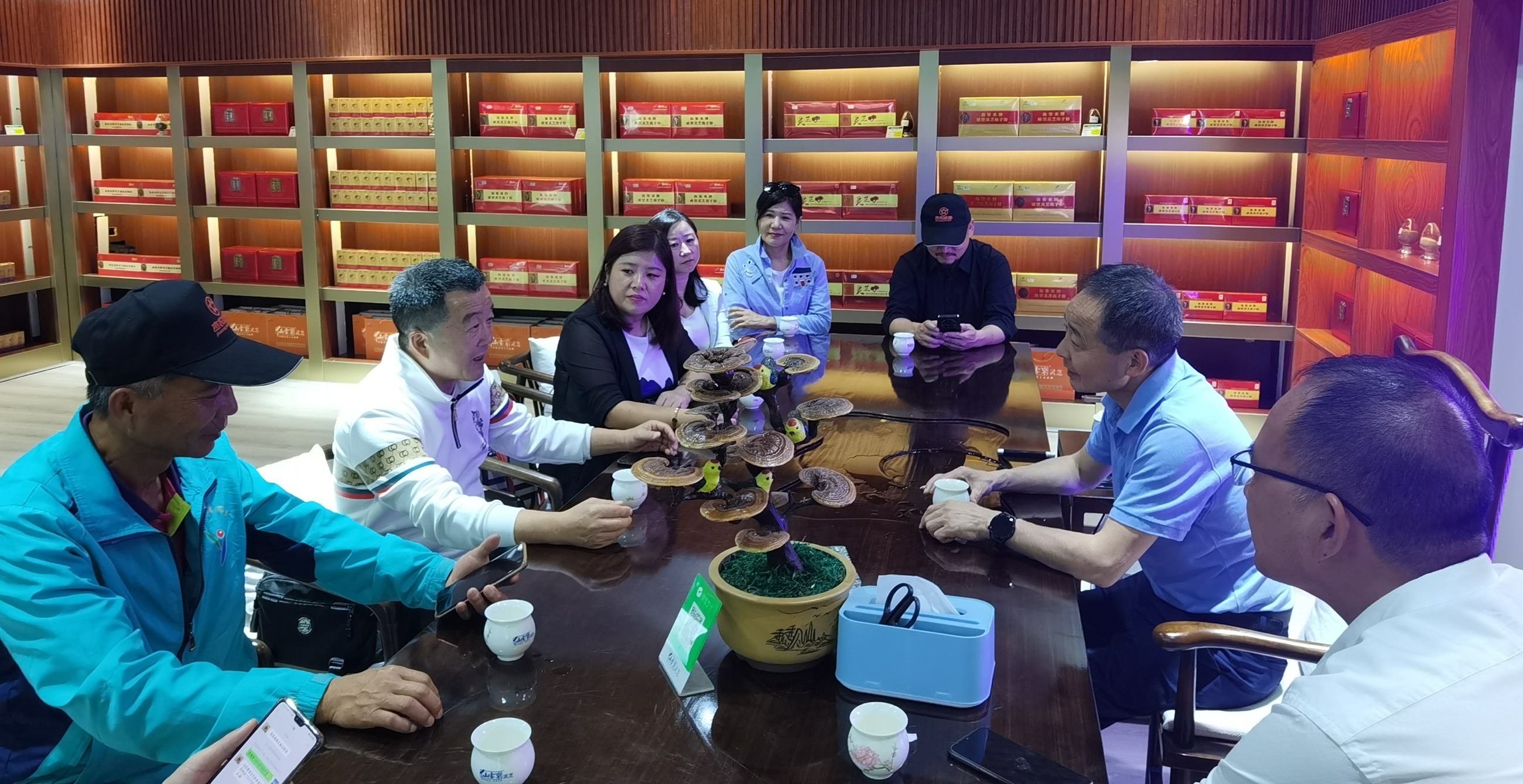 杭州亞運(yùn)會(huì)官方靈芝產(chǎn)品供應(yīng)商|杭州亞運(yùn)會(huì)官方供應(yīng)商|中國(guó)靈芝十大品牌|仙客來(lái)靈芝|仙客來(lái)靈芝破壁孢子粉|仙客來(lái)孢子油|仙客來(lái)靈芝飲片|仙客來(lái)破壁孢子粉|靈芝孢子油|孢子粉|靈芝破壁孢子粉|靈芝|中華老字號(hào) 杭州亞運(yùn)會(huì)官方靈芝產(chǎn)品供應(yīng)商|杭州亞運(yùn)會(huì)官方供應(yīng)商|中國(guó)靈芝十大品牌|仙客來(lái)靈芝|仙客來(lái)靈芝破壁孢子粉|仙客來(lái)孢子油|仙客來(lái)靈芝飲片|仙客來(lái)破壁孢子粉|靈芝孢子油|孢子粉|靈芝破壁孢子粉|靈芝|中華老字號(hào)