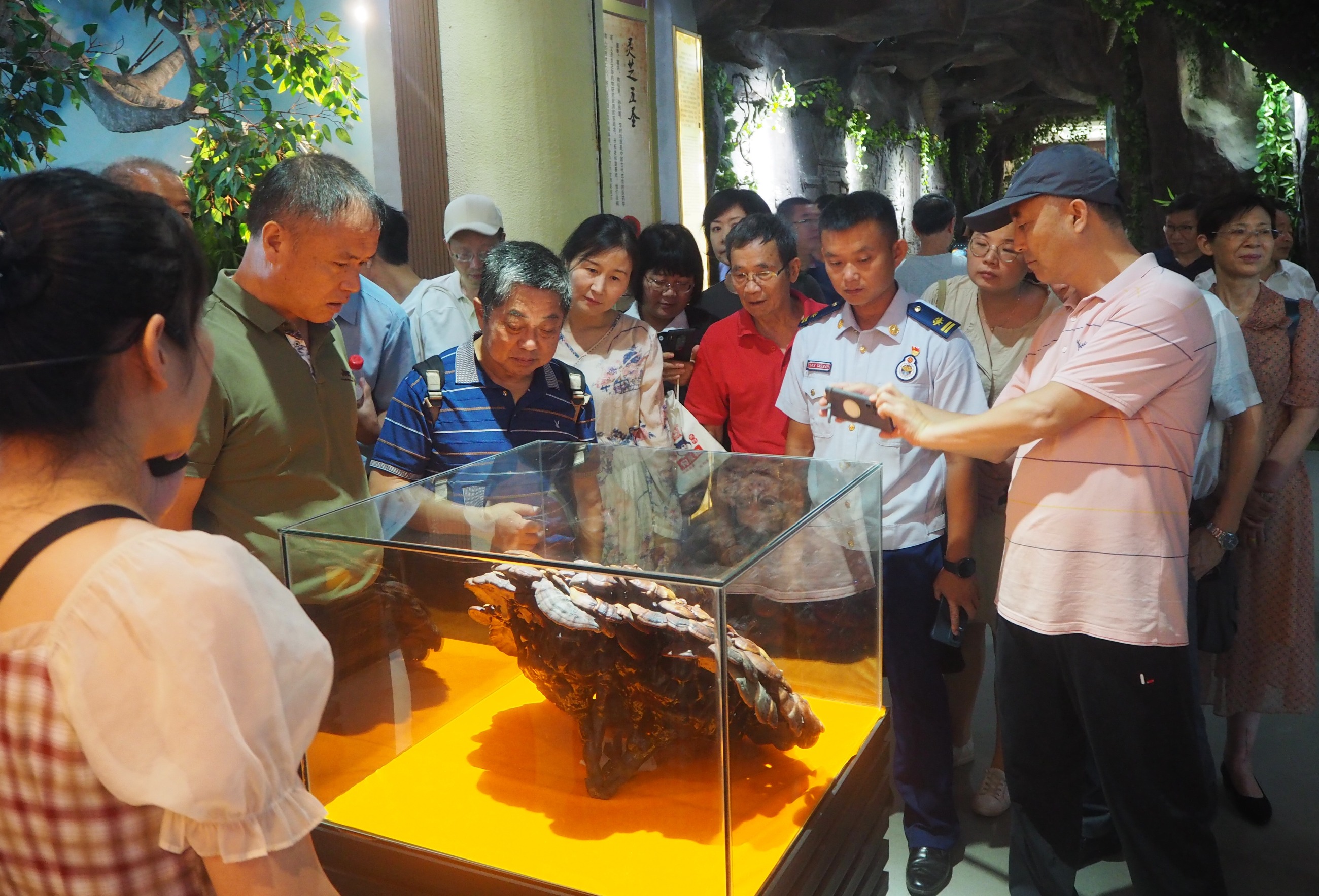 杭州亞運會官方靈芝產(chǎn)品供應(yīng)商|杭州亞運會官方供應(yīng)商|中國靈芝十大品牌|仙客來靈芝|仙客來靈芝破壁孢子粉|仙客來孢子油|仙客來靈芝飲片|仙客來破壁孢子粉|靈芝孢子油|孢子粉|靈芝破壁孢子粉|靈芝|中華老字號 杭州亞運會官方靈芝產(chǎn)品供應(yīng)商|杭州亞運會官方供應(yīng)商|中國靈芝十大品牌|仙客來靈芝|仙客來靈芝破壁孢子粉|仙客來孢子油|仙客來靈芝飲片|仙客來破壁孢子粉|靈芝孢子油|孢子粉|靈芝破壁孢子粉|靈芝|中華老字號