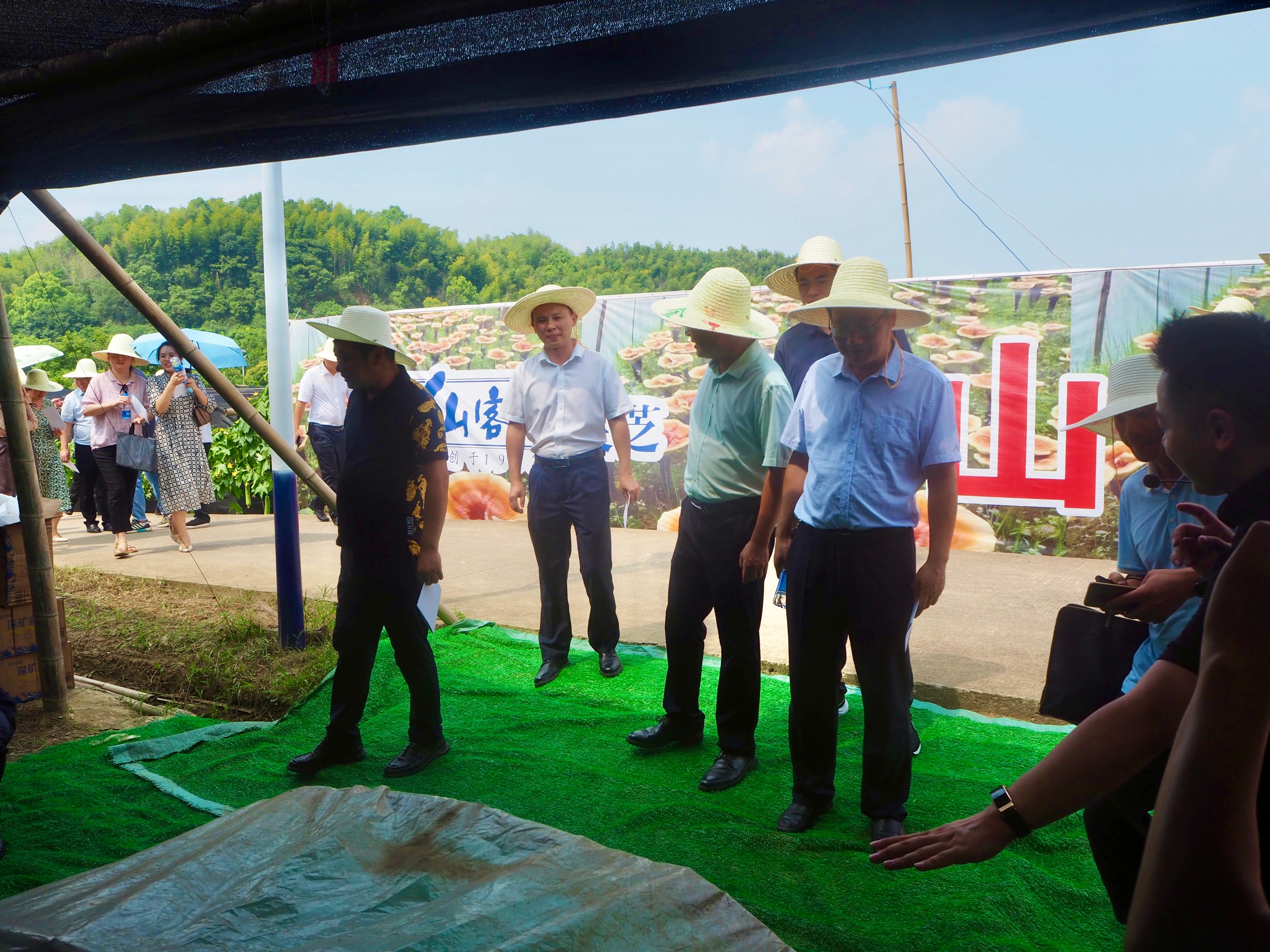 杭州亞運(yùn)會官方靈芝產(chǎn)品供應(yīng)商|杭州亞運(yùn)會官方供應(yīng)商|中國靈芝十大品牌|仙客來靈芝|仙客來靈芝破壁孢子粉|仙客來孢子油|仙客來靈芝飲片|仙客來破壁孢子粉|靈芝孢子油|孢子粉|靈芝破壁孢子粉|靈芝|中華老字號 杭州亞運(yùn)會官方靈芝產(chǎn)品供應(yīng)商|杭州亞運(yùn)會官方供應(yīng)商|中國靈芝十大品牌|仙客來靈芝|仙客來靈芝破壁孢子粉|仙客來孢子油|仙客來靈芝飲片|仙客來破壁孢子粉|靈芝孢子油|孢子粉|靈芝破壁孢子粉|靈芝|中華老字號