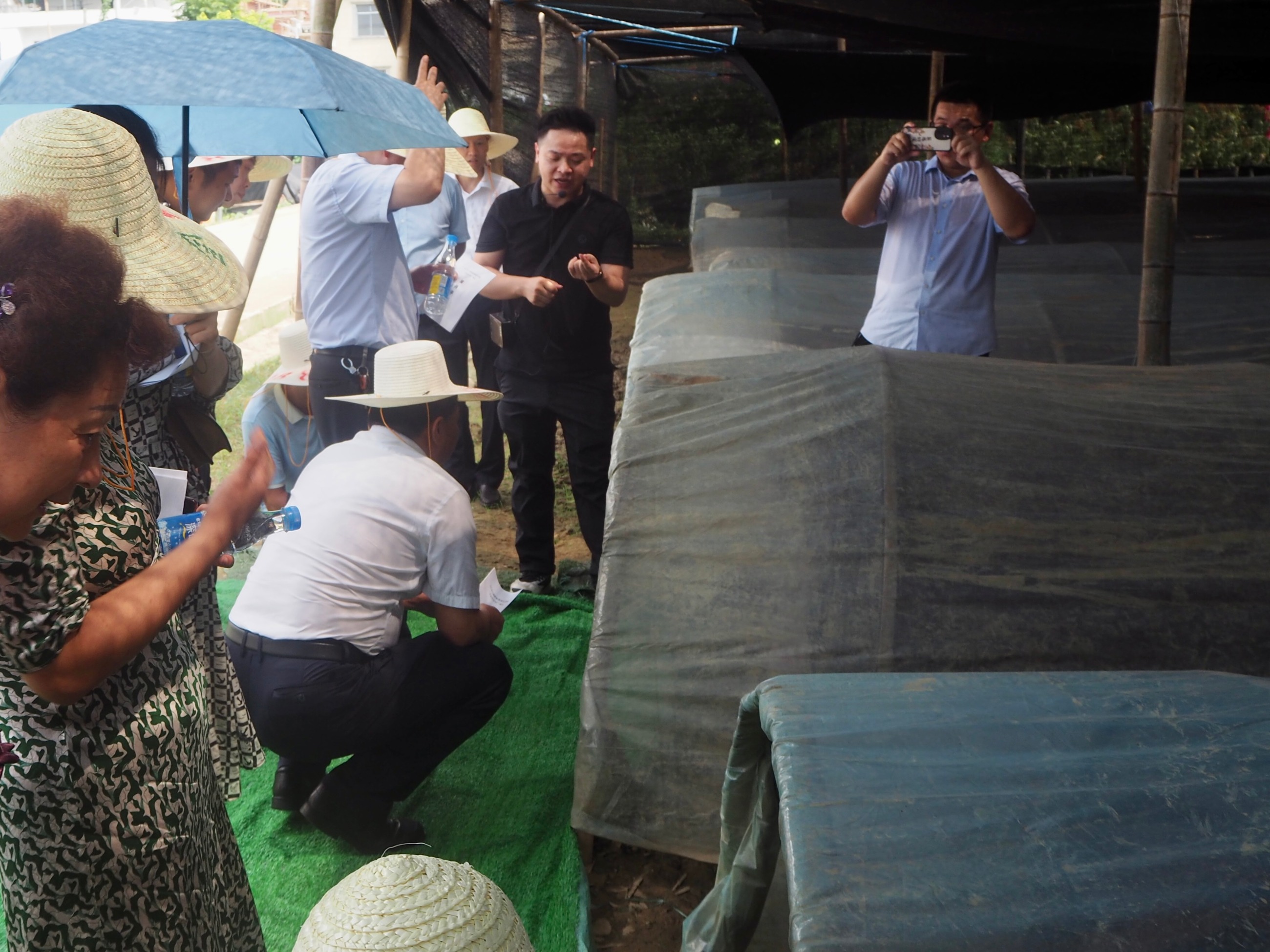 杭州亞運(yùn)會官方靈芝產(chǎn)品供應(yīng)商|杭州亞運(yùn)會官方供應(yīng)商|中國靈芝十大品牌|仙客來靈芝|仙客來靈芝破壁孢子粉|仙客來孢子油|仙客來靈芝飲片|仙客來破壁孢子粉|靈芝孢子油|孢子粉|靈芝破壁孢子粉|靈芝|中華老字號 杭州亞運(yùn)會官方靈芝產(chǎn)品供應(yīng)商|杭州亞運(yùn)會官方供應(yīng)商|中國靈芝十大品牌|仙客來靈芝|仙客來靈芝破壁孢子粉|仙客來孢子油|仙客來靈芝飲片|仙客來破壁孢子粉|靈芝孢子油|孢子粉|靈芝破壁孢子粉|靈芝|中華老字號