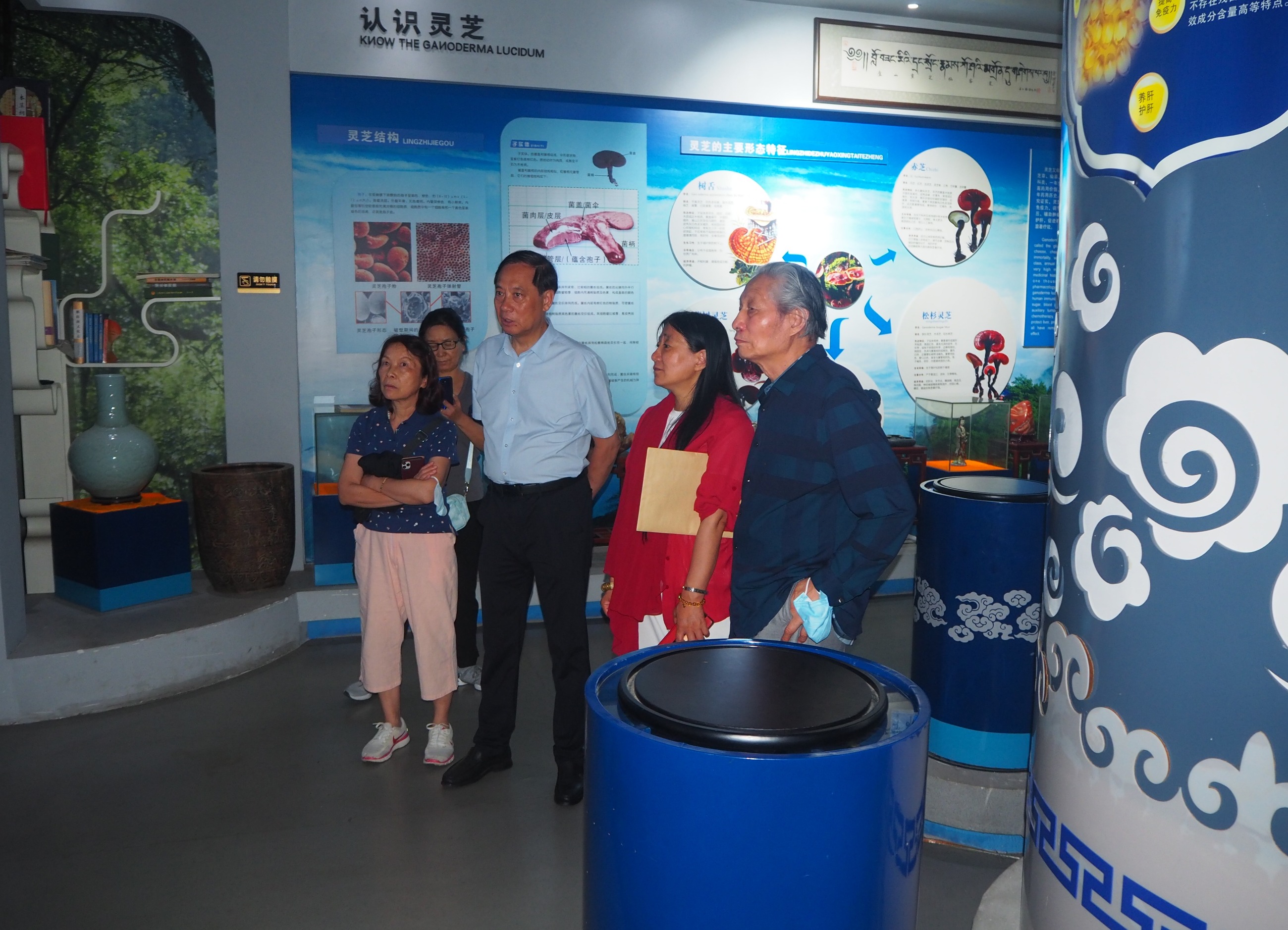 杭州亞運(yùn)會(huì)官方靈芝產(chǎn)品供應(yīng)商|杭州亞運(yùn)會(huì)官方供應(yīng)商|中國(guó)靈芝十大品牌|仙客來靈芝|仙客來靈芝破壁孢子粉|仙客來孢子油|仙客來靈芝飲片|仙客來破壁孢子粉|靈芝孢子油|孢子粉|靈芝破壁孢子粉|靈芝|中華老字號(hào) 杭州亞運(yùn)會(huì)官方靈芝產(chǎn)品供應(yīng)商|杭州亞運(yùn)會(huì)官方供應(yīng)商|中國(guó)靈芝十大品牌|仙客來靈芝|仙客來靈芝破壁孢子粉|仙客來孢子油|仙客來靈芝飲片|仙客來破壁孢子粉|靈芝孢子油|孢子粉|靈芝破壁孢子粉|靈芝|中華老字號(hào)