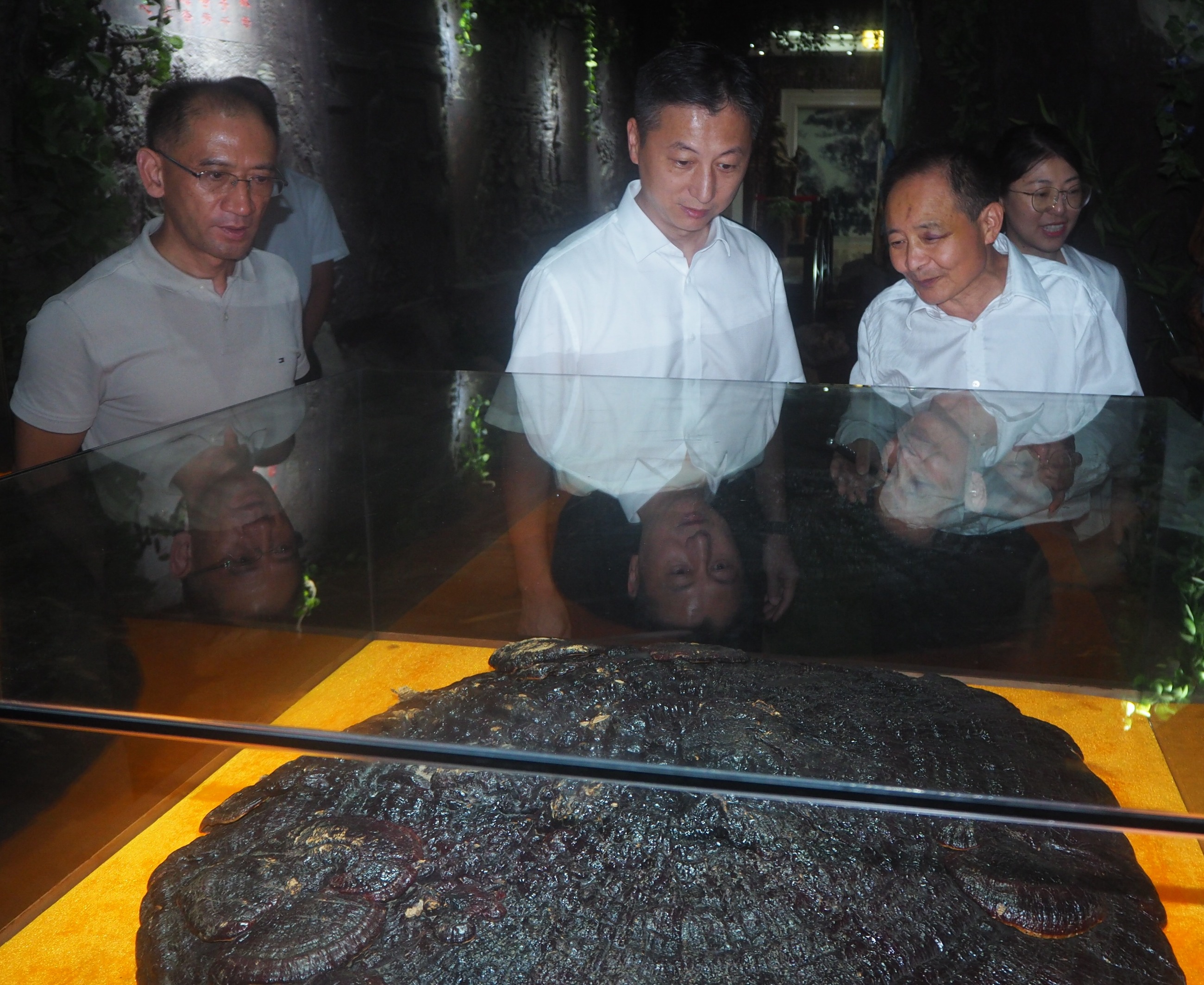 杭州亞運(yùn)會(huì)官方靈芝產(chǎn)品供應(yīng)商|杭州亞運(yùn)會(huì)官方供應(yīng)商|中國(guó)靈芝十大品牌|仙客來(lái)靈芝|仙客來(lái)靈芝破壁孢子粉|仙客來(lái)孢子油|仙客來(lái)靈芝飲片|仙客來(lái)破壁孢子粉|靈芝孢子油|孢子粉|靈芝破壁孢子粉|靈芝|中華老字號(hào) 杭州亞運(yùn)會(huì)官方靈芝產(chǎn)品供應(yīng)商|杭州亞運(yùn)會(huì)官方供應(yīng)商|中國(guó)靈芝十大品牌|仙客來(lái)靈芝|仙客來(lái)靈芝破壁孢子粉|仙客來(lái)孢子油|仙客來(lái)靈芝飲片|仙客來(lái)破壁孢子粉|靈芝孢子油|孢子粉|靈芝破壁孢子粉|靈芝|中華老字號(hào)