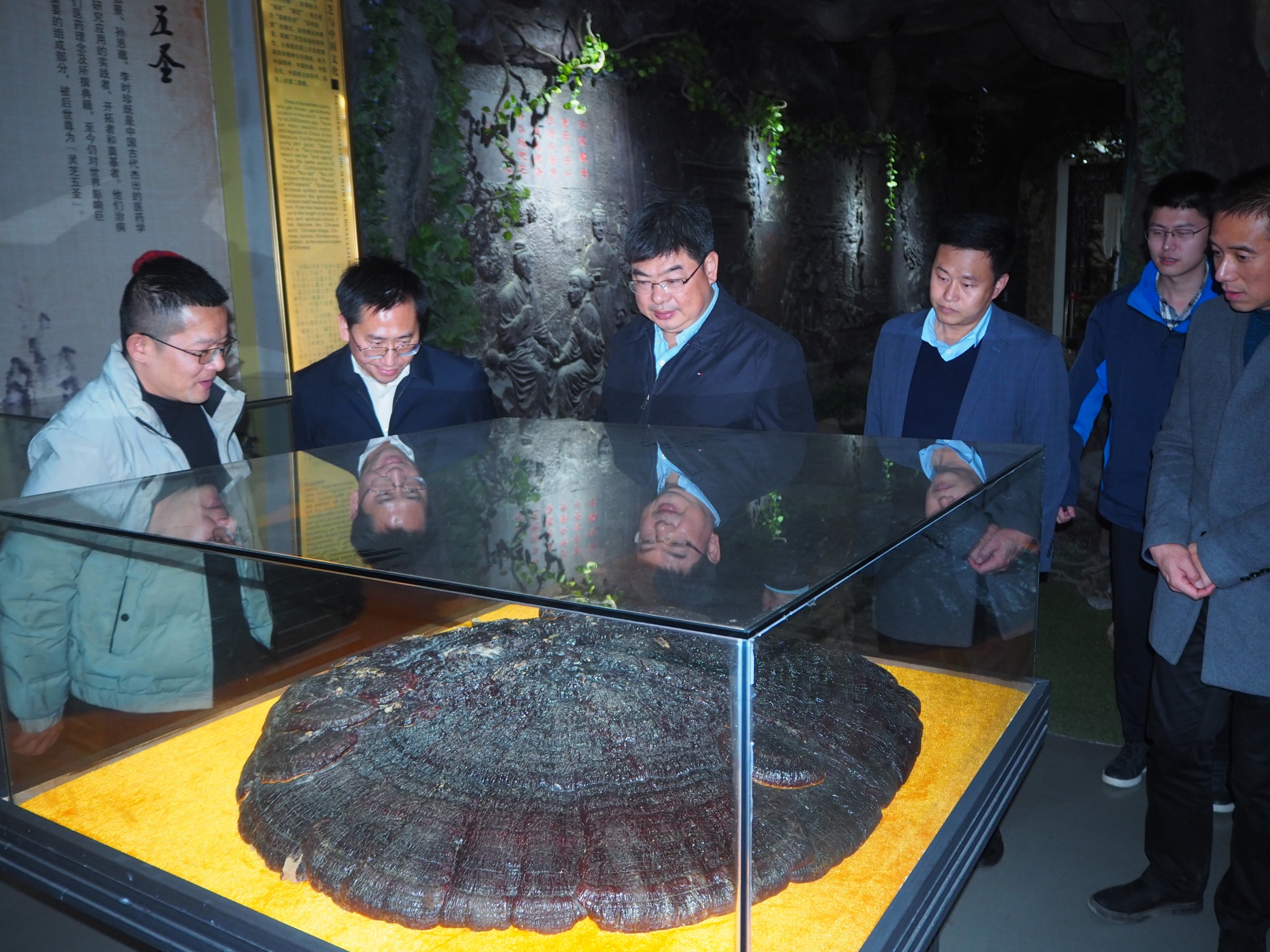 杭州亞運(yùn)會官方靈芝產(chǎn)品供應(yīng)商|杭州亞運(yùn)會官方供應(yīng)商|中國靈芝十大品牌|仙客來靈芝|仙客來靈芝破壁孢子粉|仙客來孢子油|仙客來靈芝飲片|仙客來破壁孢子粉|靈芝孢子油|孢子粉|靈芝破壁孢子粉|靈芝|中華老字號 杭州亞運(yùn)會官方靈芝產(chǎn)品供應(yīng)商|杭州亞運(yùn)會官方供應(yīng)商|中國靈芝十大品牌|仙客來靈芝|仙客來靈芝破壁孢子粉|仙客來孢子油|仙客來靈芝飲片|仙客來破壁孢子粉|靈芝孢子油|孢子粉|靈芝破壁孢子粉|靈芝|中華老字號