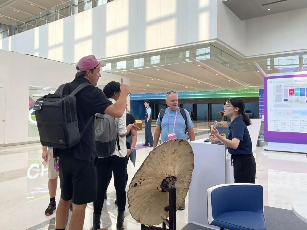 杭州亞運會官方靈芝產(chǎn)品供應(yīng)商|杭州亞運會官方供應(yīng)商|中國靈芝十大品牌|仙客來靈芝|仙客來靈芝破壁孢子粉|仙客來孢子油|仙客來靈芝飲片|仙客來破壁孢子粉|靈芝孢子油|孢子粉|靈芝破壁孢子粉|靈芝|中華老字號 杭州亞運會官方靈芝產(chǎn)品供應(yīng)商|杭州亞運會官方供應(yīng)商|中國靈芝十大品牌|仙客來靈芝|仙客來靈芝破壁孢子粉|仙客來孢子油|仙客來靈芝飲片|仙客來破壁孢子粉|靈芝孢子油|孢子粉|靈芝破壁孢子粉|靈芝|中華老字號