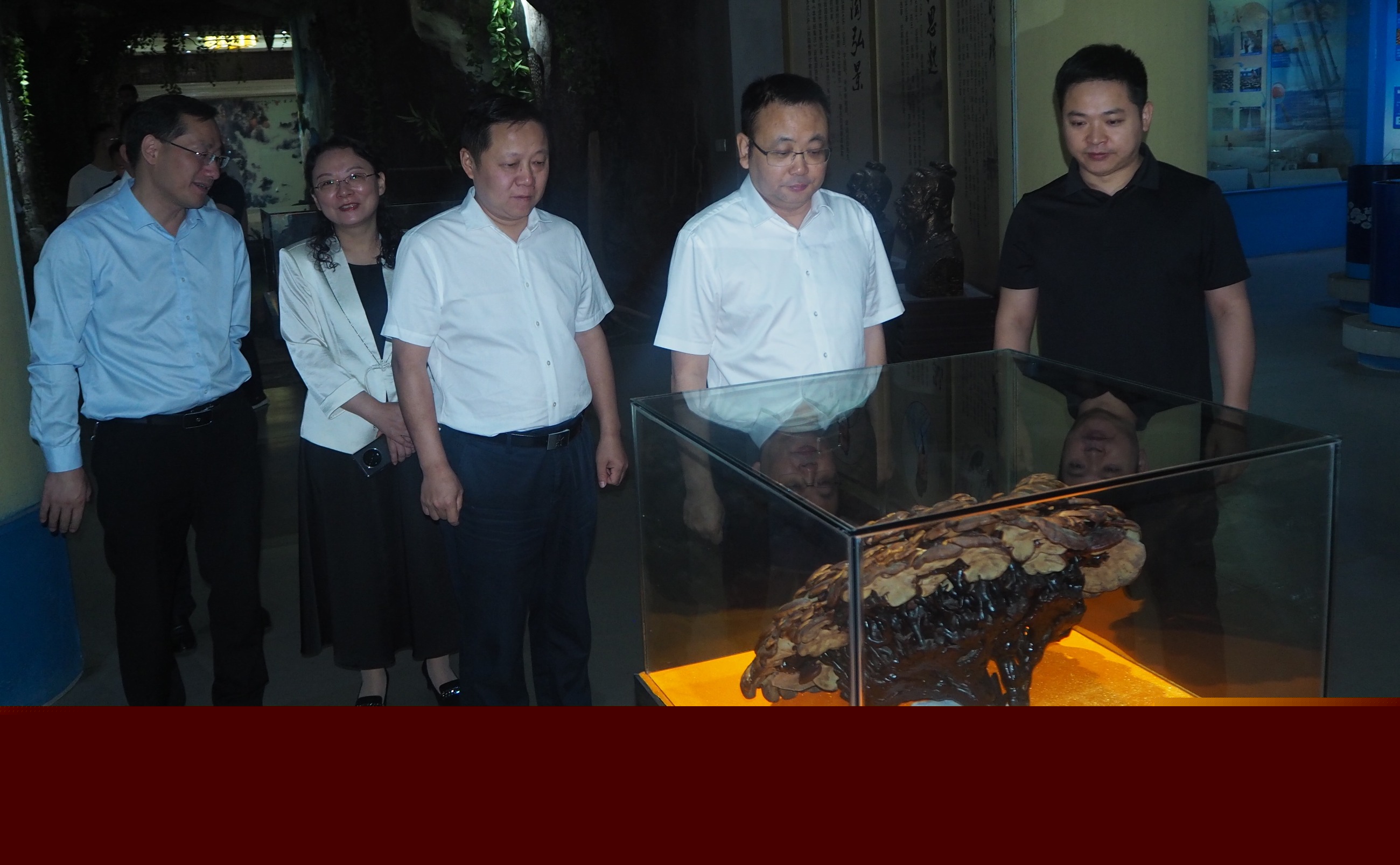 杭州亞運會官方靈芝產(chǎn)品供應(yīng)商|杭州亞運會官方供應(yīng)商|中國靈芝十大品牌|仙客來靈芝|仙客來靈芝破壁孢子粉|仙客來孢子油|仙客來靈芝飲片|仙客來破壁孢子粉|靈芝孢子油|孢子粉|靈芝破壁孢子粉|靈芝|中華老字號 杭州亞運會官方靈芝產(chǎn)品供應(yīng)商|杭州亞運會官方供應(yīng)商|中國靈芝十大品牌|仙客來靈芝|仙客來靈芝破壁孢子粉|仙客來孢子油|仙客來靈芝飲片|仙客來破壁孢子粉|靈芝孢子油|孢子粉|靈芝破壁孢子粉|靈芝|中華老字號