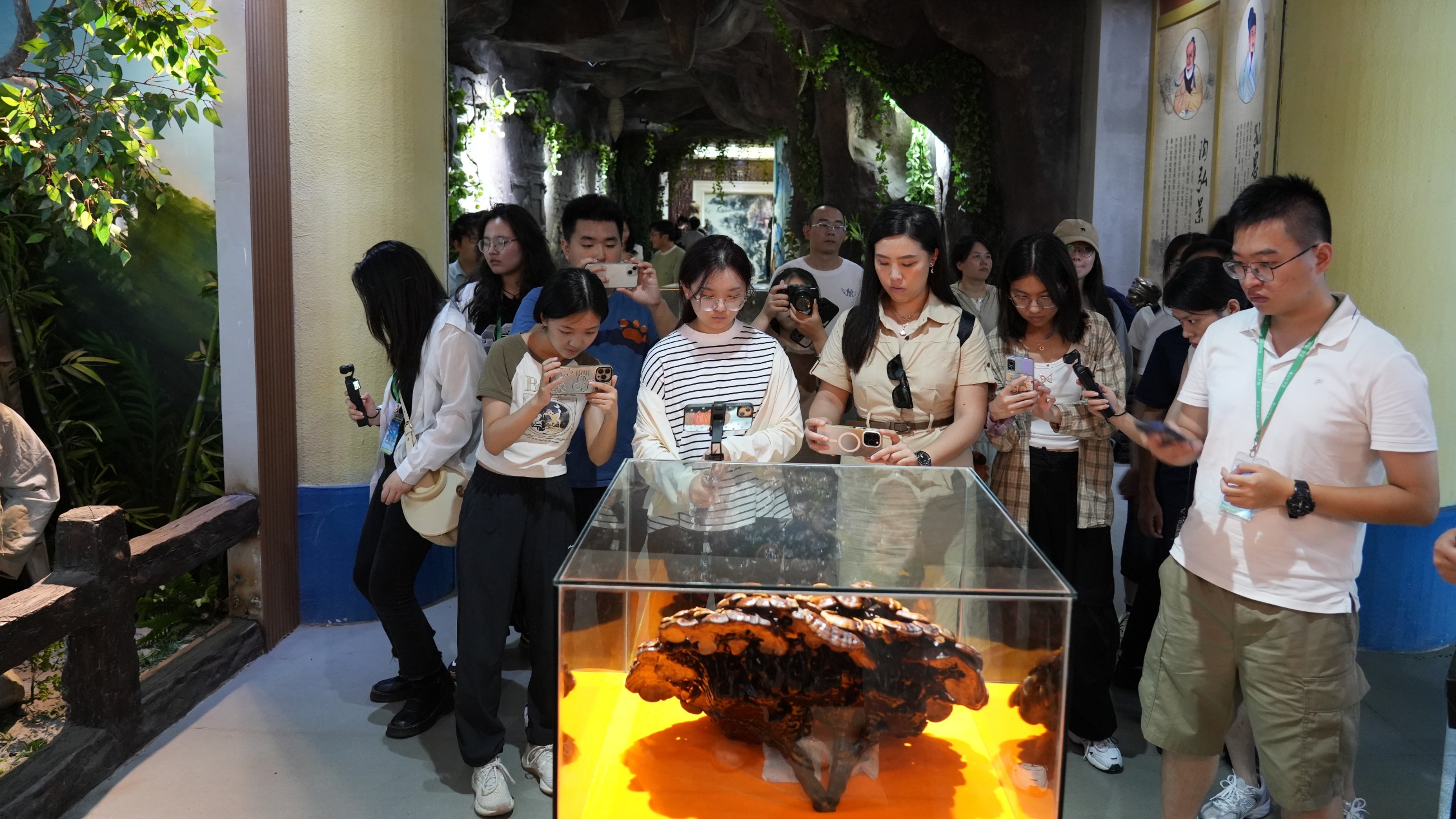 杭州亞運(yùn)會官方靈芝產(chǎn)品供應(yīng)商|杭州亞運(yùn)會官方供應(yīng)商|中國靈芝十大品牌|仙客來靈芝|仙客來靈芝破壁孢子粉|仙客來孢子油|仙客來靈芝飲片|仙客來破壁孢子粉|靈芝孢子油|孢子粉|靈芝破壁孢子粉|靈芝|中華老字號 杭州亞運(yùn)會官方靈芝產(chǎn)品供應(yīng)商|杭州亞運(yùn)會官方供應(yīng)商|中國靈芝十大品牌|仙客來靈芝|仙客來靈芝破壁孢子粉|仙客來孢子油|仙客來靈芝飲片|仙客來破壁孢子粉|靈芝孢子油|孢子粉|靈芝破壁孢子粉|靈芝|中華老字號