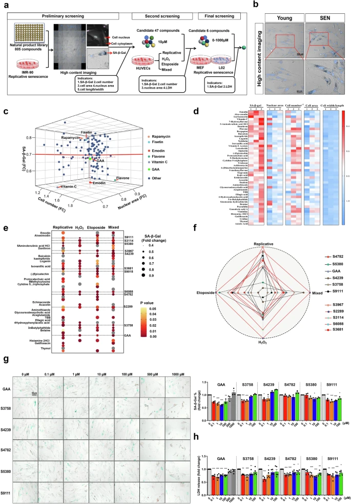 杭州亞運(yùn)會(huì)官方靈芝產(chǎn)品供應(yīng)商|杭州亞運(yùn)會(huì)官方供應(yīng)商|中國(guó)靈芝十大品牌|仙客來(lái)靈芝|仙客來(lái)靈芝破壁孢子粉|仙客來(lái)孢子油|仙客來(lái)靈芝飲片|仙客來(lái)破壁孢子粉|靈芝孢子油|孢子粉|靈芝破壁孢子粉|靈芝|中華老字號(hào) 杭州亞運(yùn)會(huì)官方靈芝產(chǎn)品供應(yīng)商|杭州亞運(yùn)會(huì)官方供應(yīng)商|中國(guó)靈芝十大品牌|仙客來(lái)靈芝|仙客來(lái)靈芝破壁孢子粉|仙客來(lái)孢子油|仙客來(lái)靈芝飲片|仙客來(lái)破壁孢子粉|靈芝孢子油|孢子粉|靈芝破壁孢子粉|靈芝|中華老字號(hào)