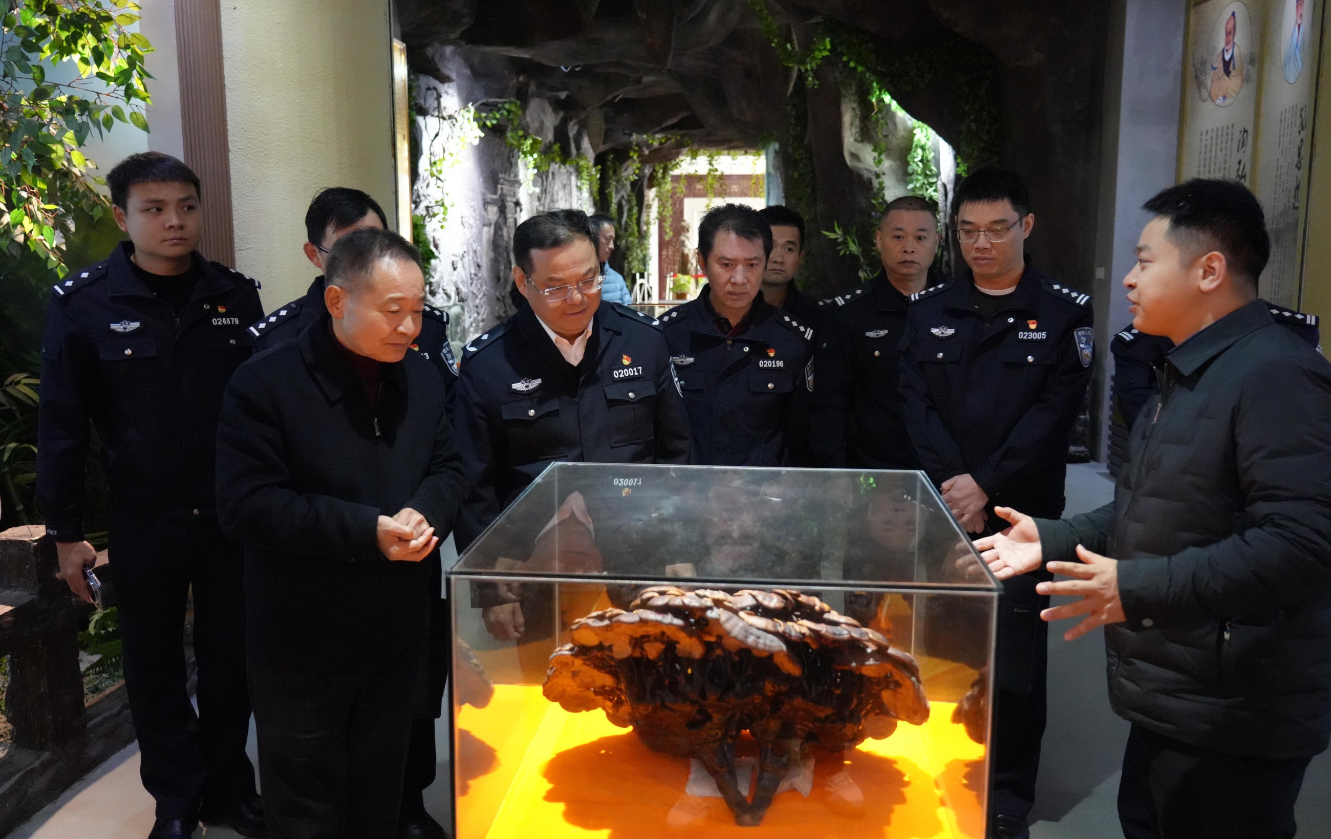 杭州亞運(yùn)會(huì)官方靈芝產(chǎn)品供應(yīng)商|杭州亞運(yùn)會(huì)官方供應(yīng)商|中國(guó)靈芝十大品牌|仙客來(lái)靈芝|仙客來(lái)靈芝破壁孢子粉|仙客來(lái)孢子油|仙客來(lái)靈芝飲片|仙客來(lái)破壁孢子粉|靈芝孢子油|孢子粉|靈芝破壁孢子粉|靈芝|中華老字號(hào)