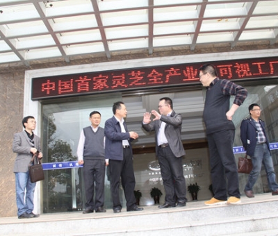 江西省國(guó)稅局領(lǐng)導(dǎo)蒞臨仙客來(lái)指導(dǎo)出口創(chuàng)匯工作