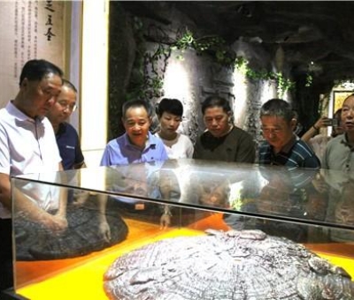 九江市南昌商會陳小平會長一行來仙客來公司參觀考察