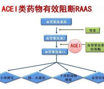 不吃藥，能降低高血壓？