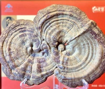 “它”延續(xù)數(shù)千年  助你美容養(yǎng)顏延緩衰老