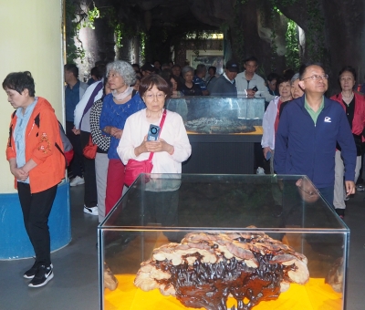 深深靈芝情！中華全國(guó)供銷合作總社再訪仙客來