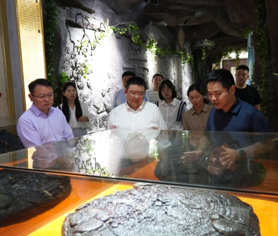 省工信廳副廳長江紹龍一行蒞臨仙客來調研